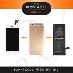 Kit de remise à neuf pour iPhone 6 Or | STANDARD_photo1