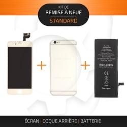 Kit de remise à neuf pour iPhone 6S Argent | STANDARD