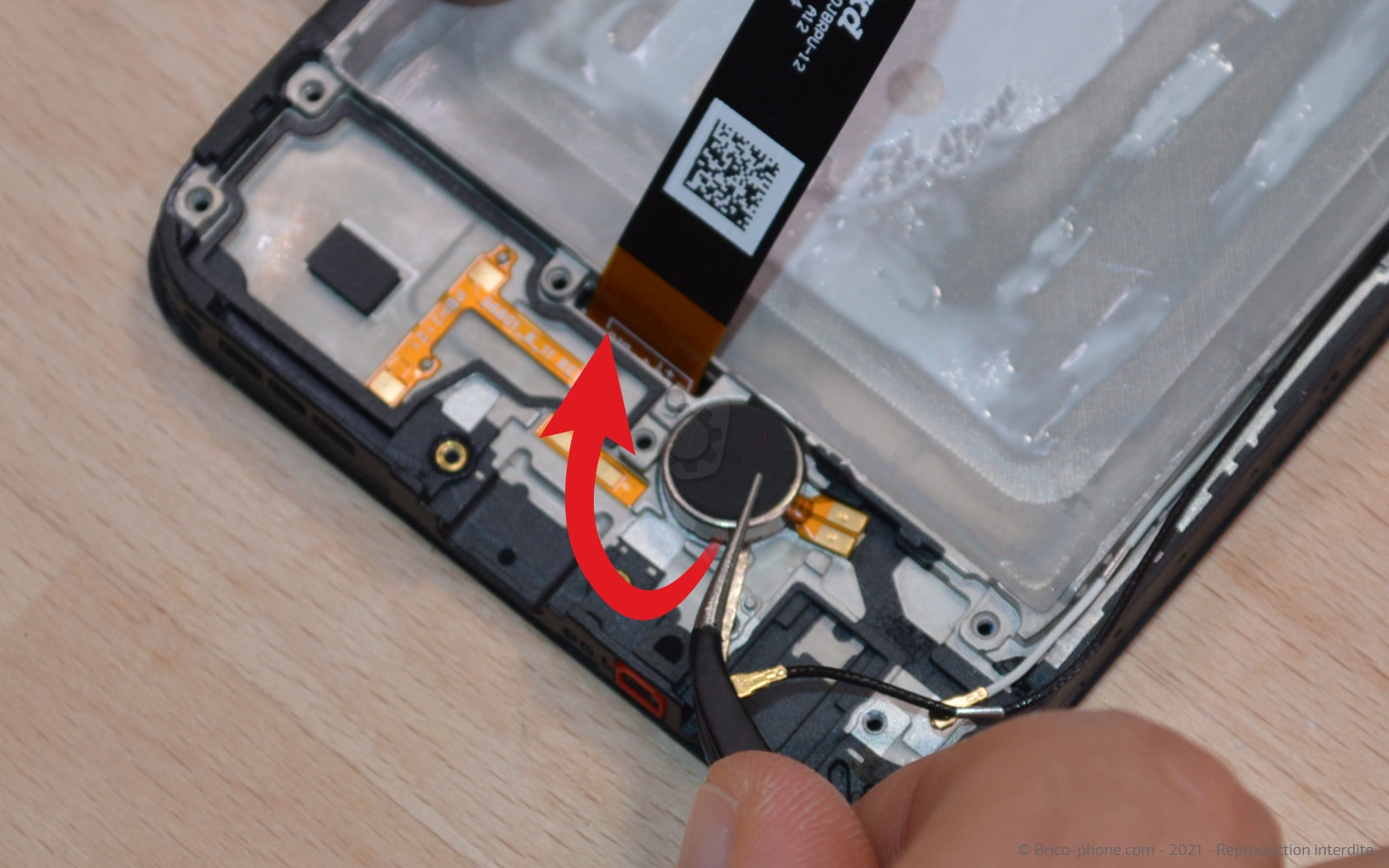 Démontage complet sur Galaxy A22 (5G) photo 2