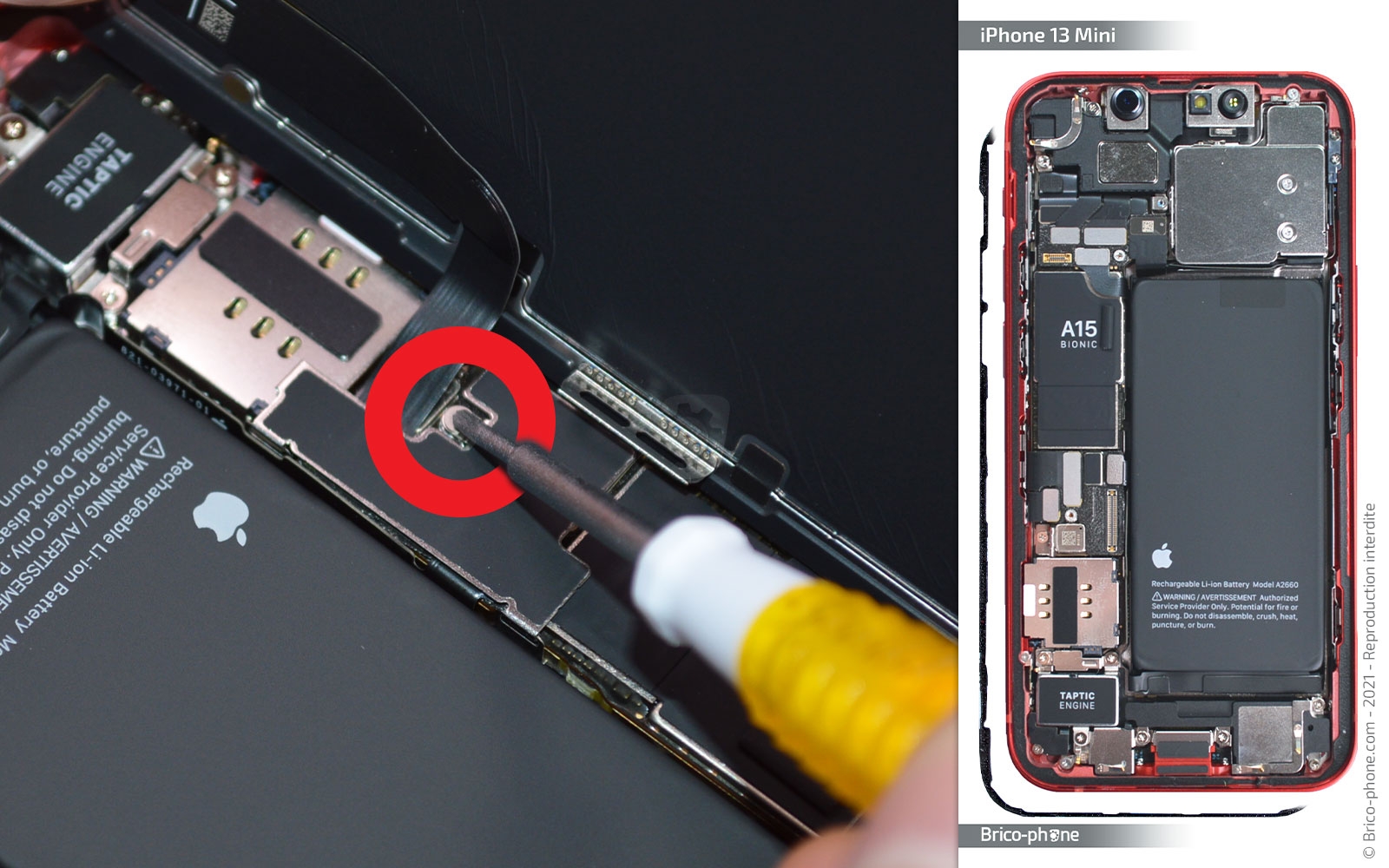 Changement de la batterie sur iPhone 13 Mini photo 1