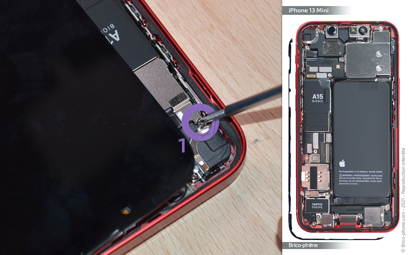 Changement de la batterie sur iPhone 13 Mini photo 2