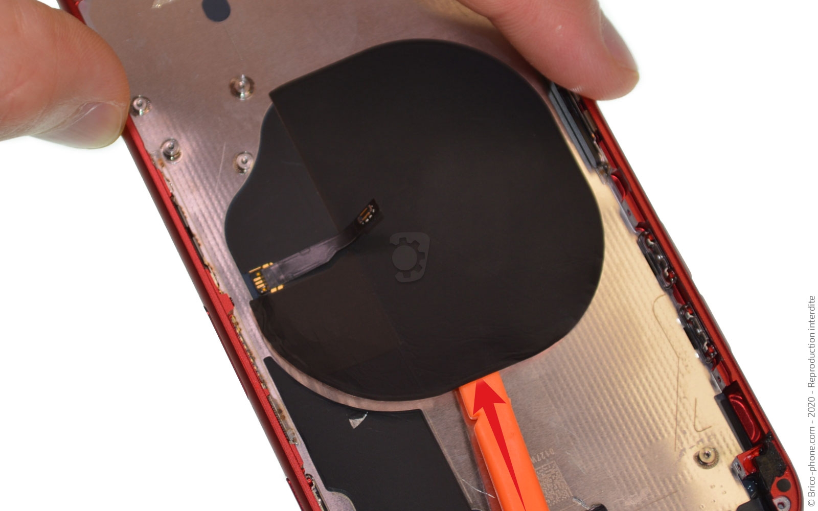 Démontage complet sur iPhone SE 2022 photo 2