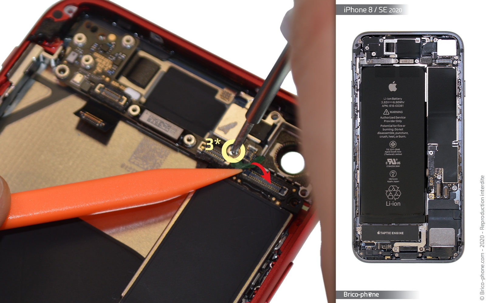 Démontage complet sur iPhone SE 2022 photo 4