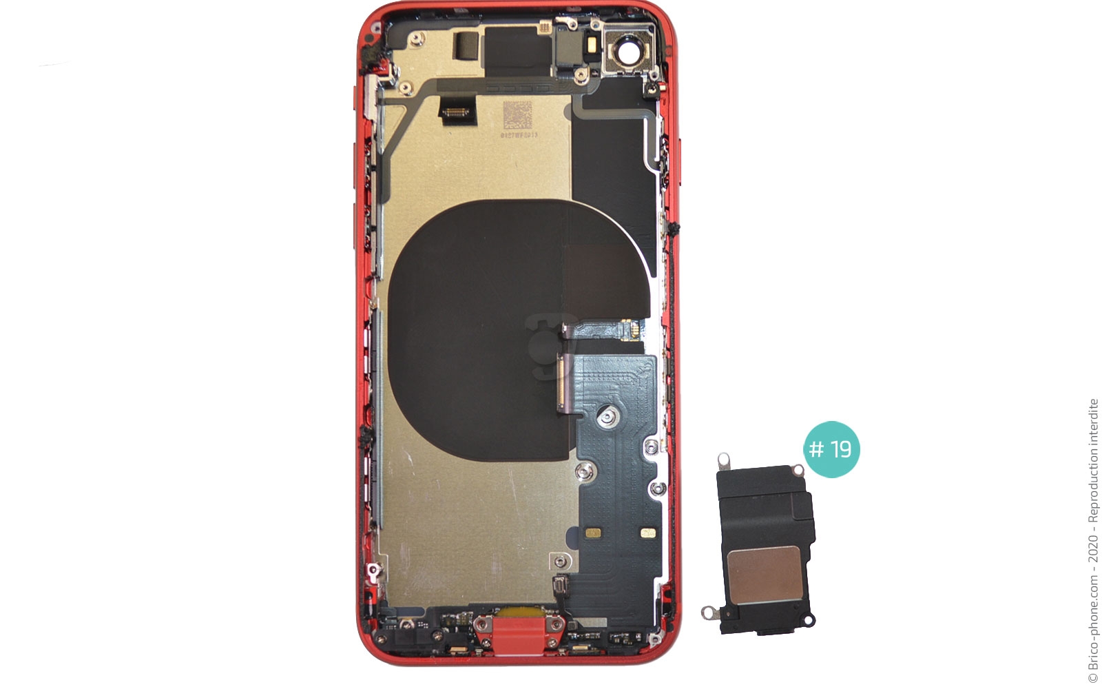 Démontage complet sur iPhone SE 2022 photo 3