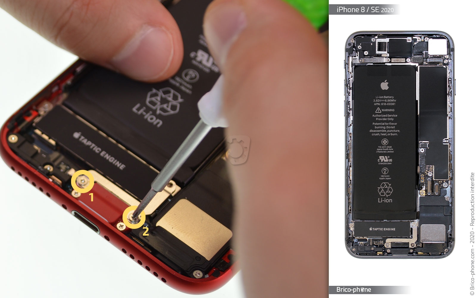 Démontage complet sur iPhone SE 2022 photo 2