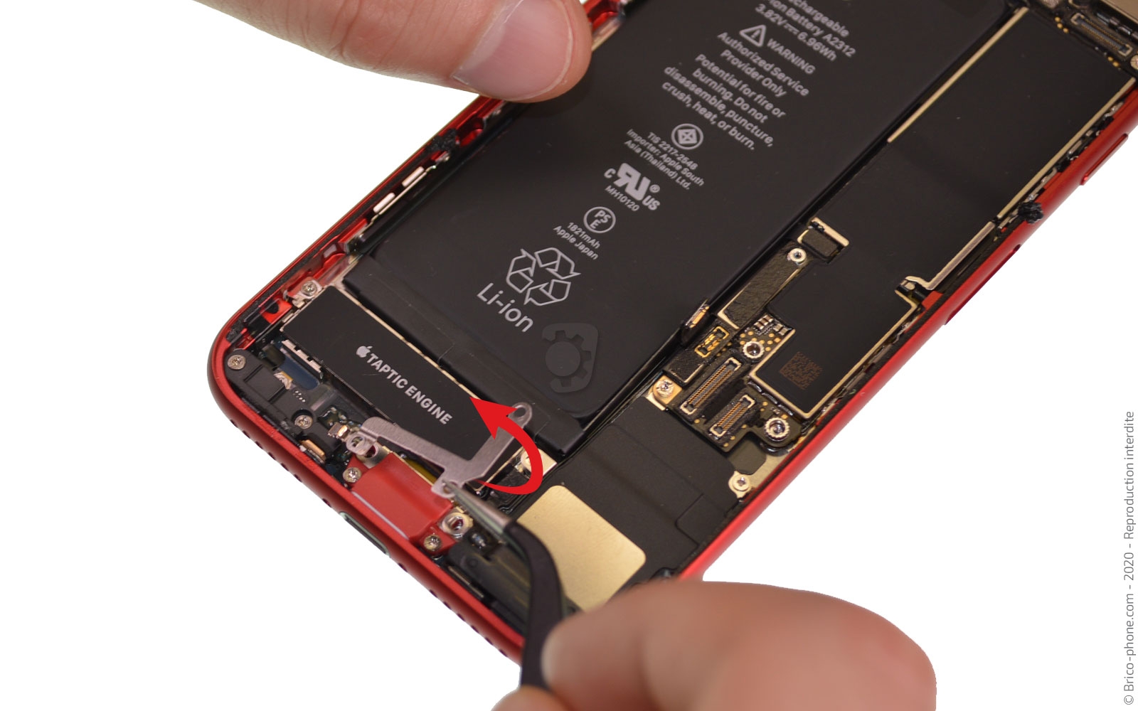 Démontage complet sur iPhone SE 2022 photo 3