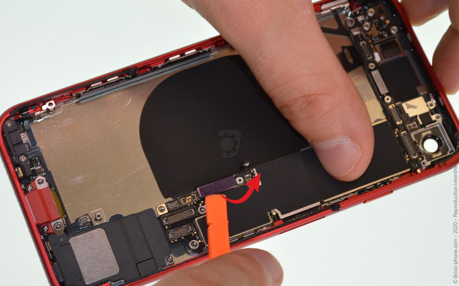 Démontage complet sur iPhone SE 2022 photo 2