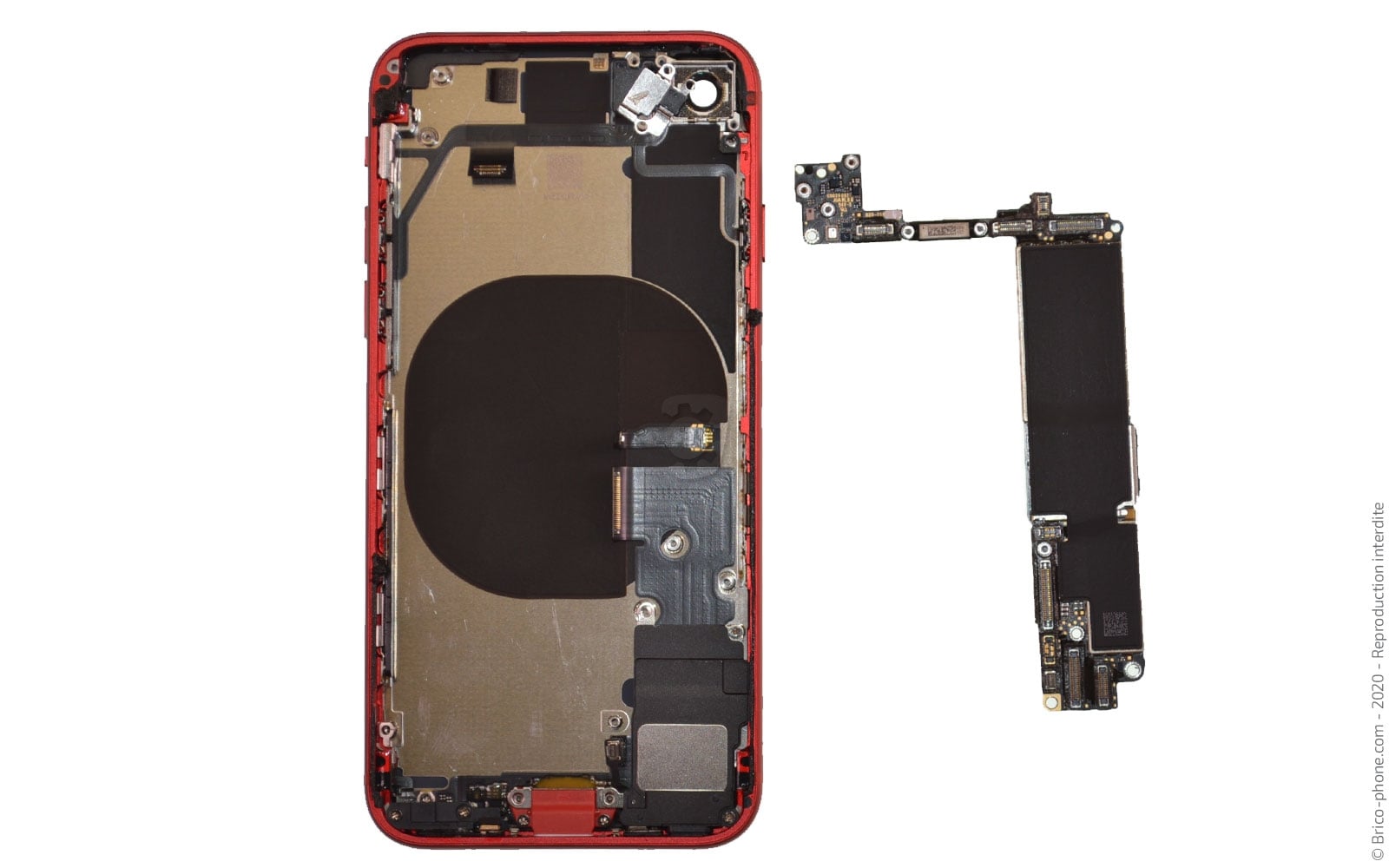 Démontage complet sur iPhone SE 2022 photo 4