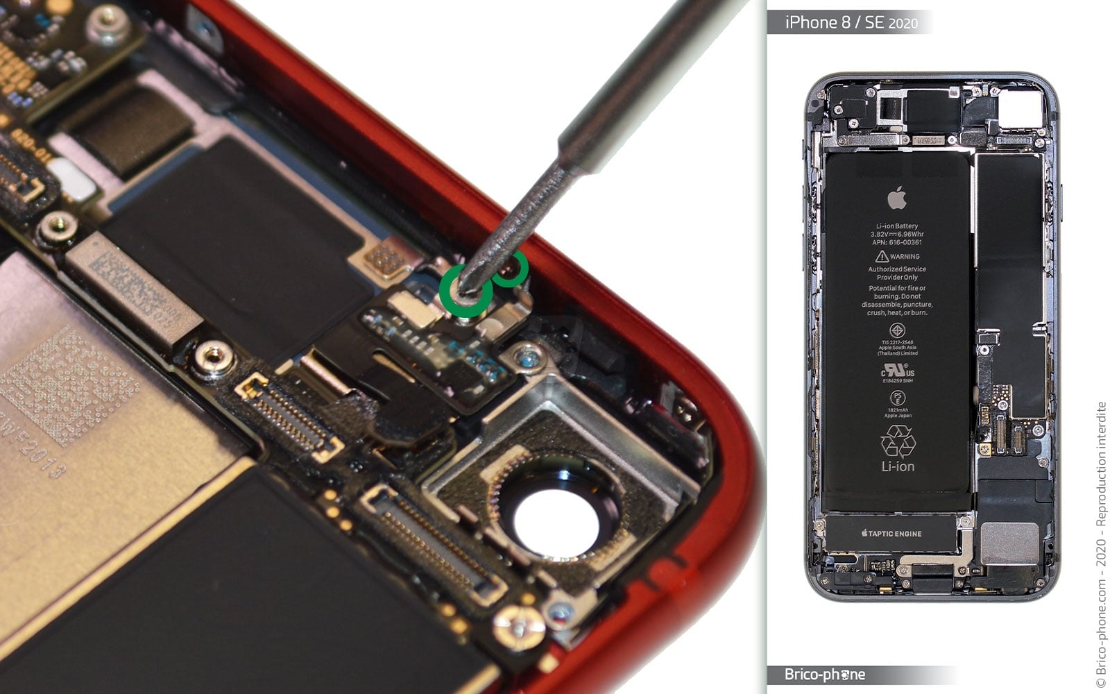 Démontage complet sur iPhone SE 2022 photo 2