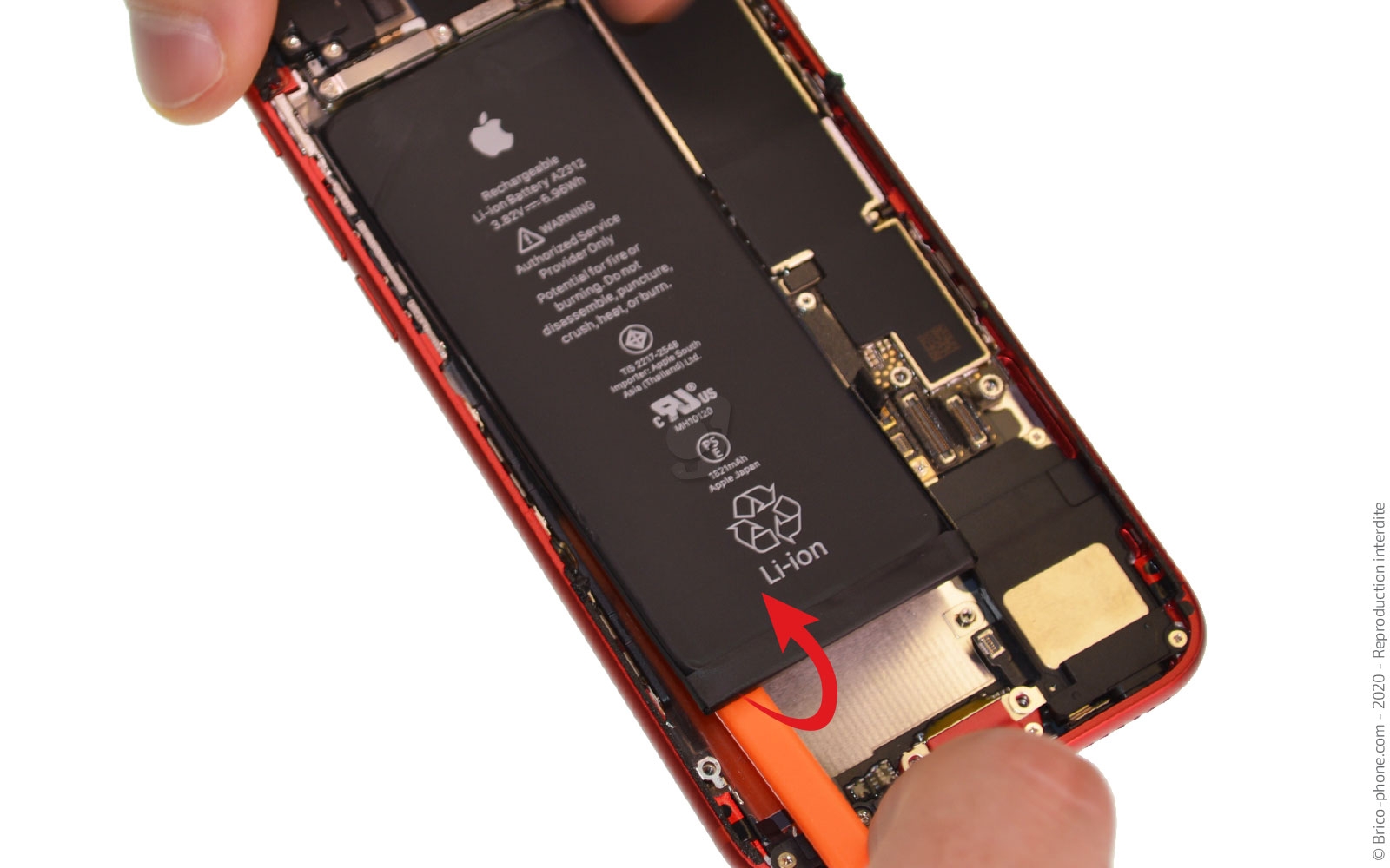 Démontage complet sur iPhone SE 2022 photo 3