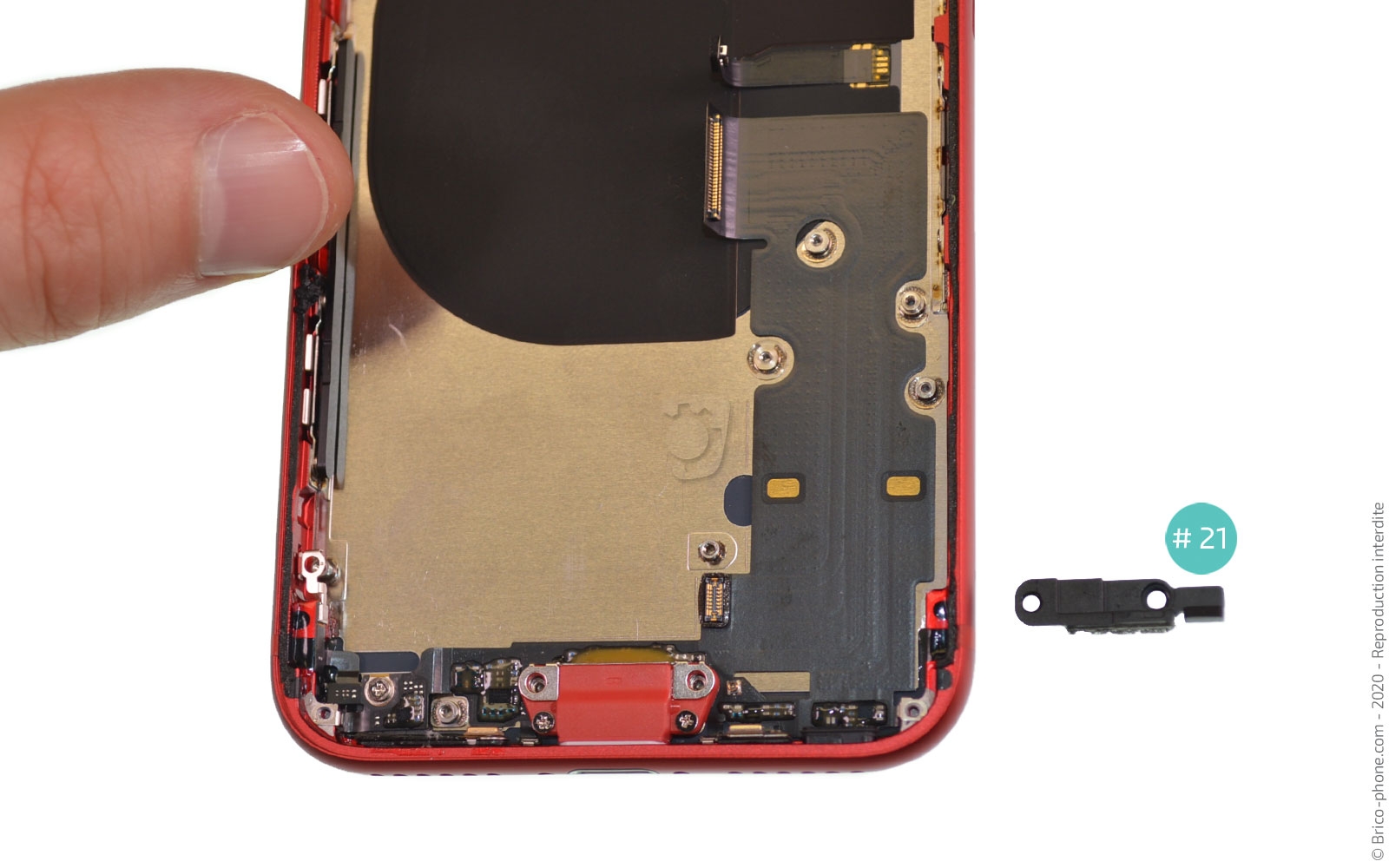 Démontage complet sur iPhone SE 2022 photo 4