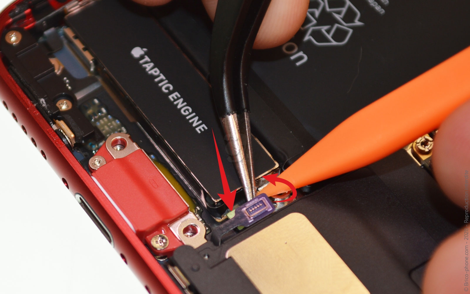 Démontage complet sur iPhone SE 2022 photo 3