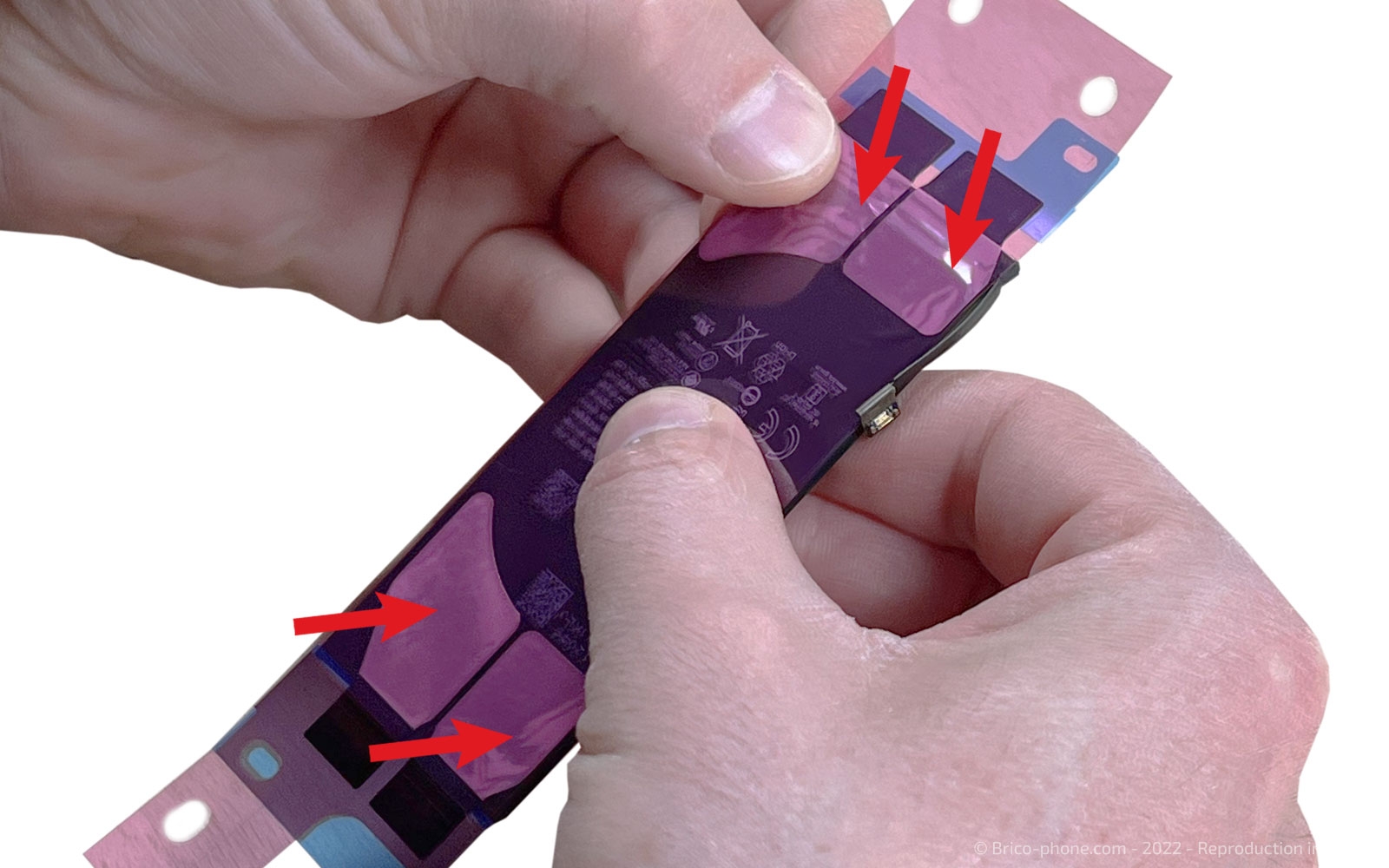 Démontage complet sur iPhone SE 2022 photo 2