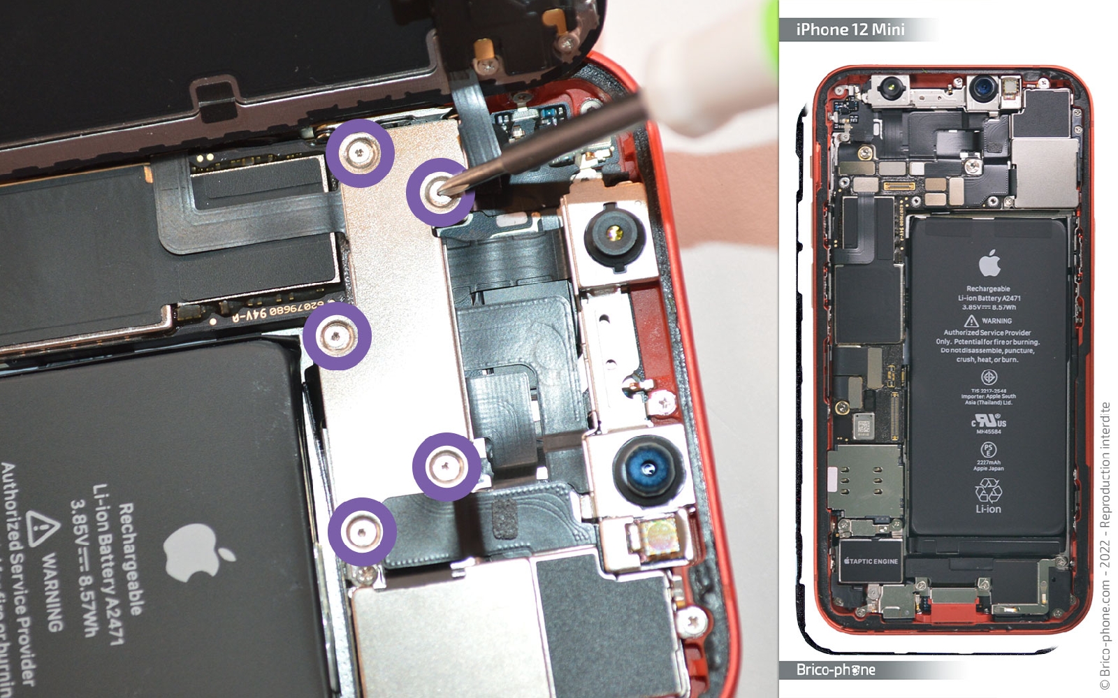 Remise à neuf sur iPhone 12 Mini photo 1