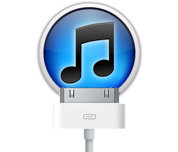 Changement du connecteur de charge sur iPhone 3GS photo 1