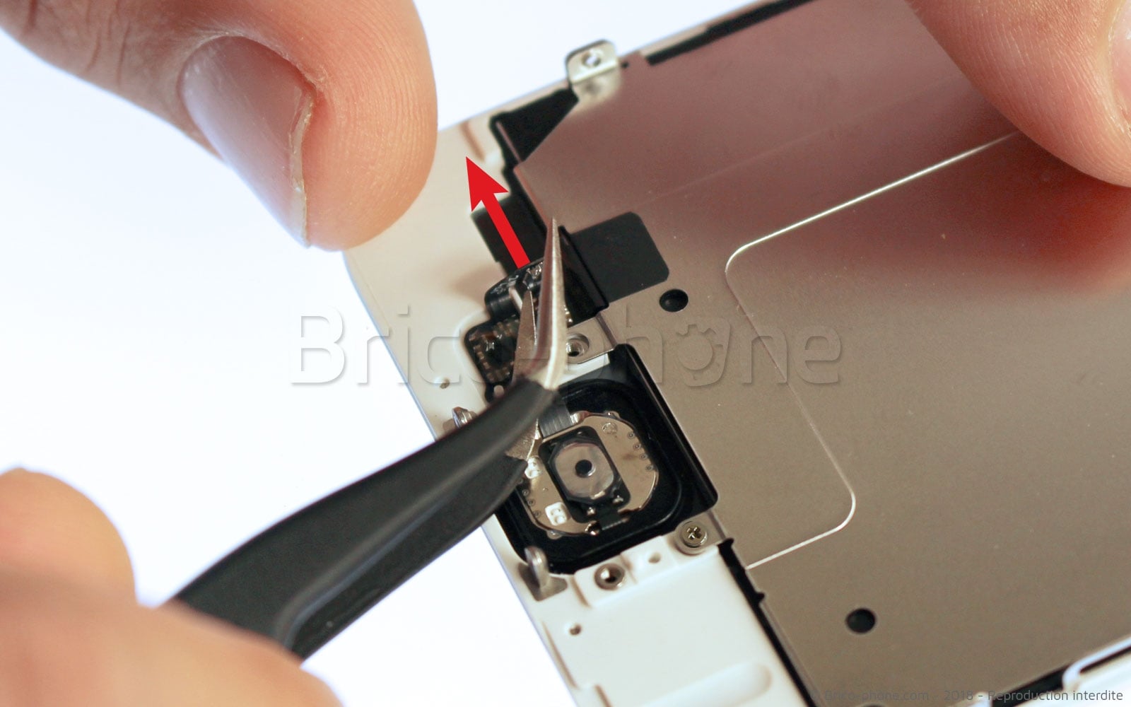 Changement de nappe bouton Home sur iPhone 6 photo 2