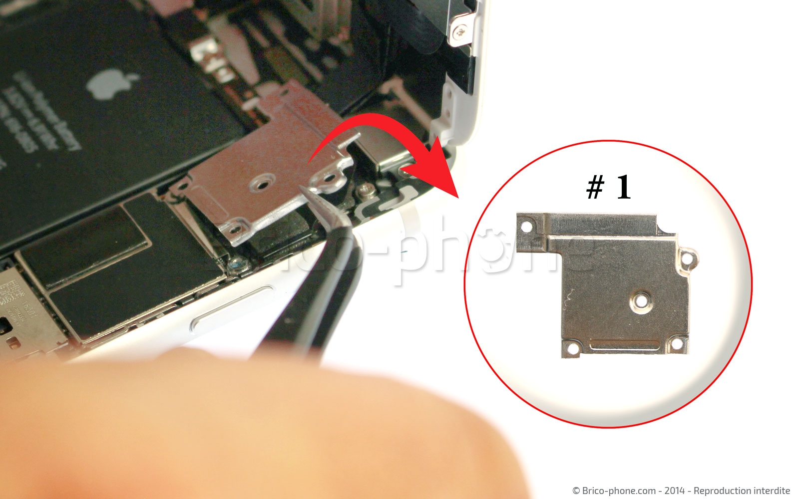 Changement de nappe bouton Home sur iPhone 6 photo 3