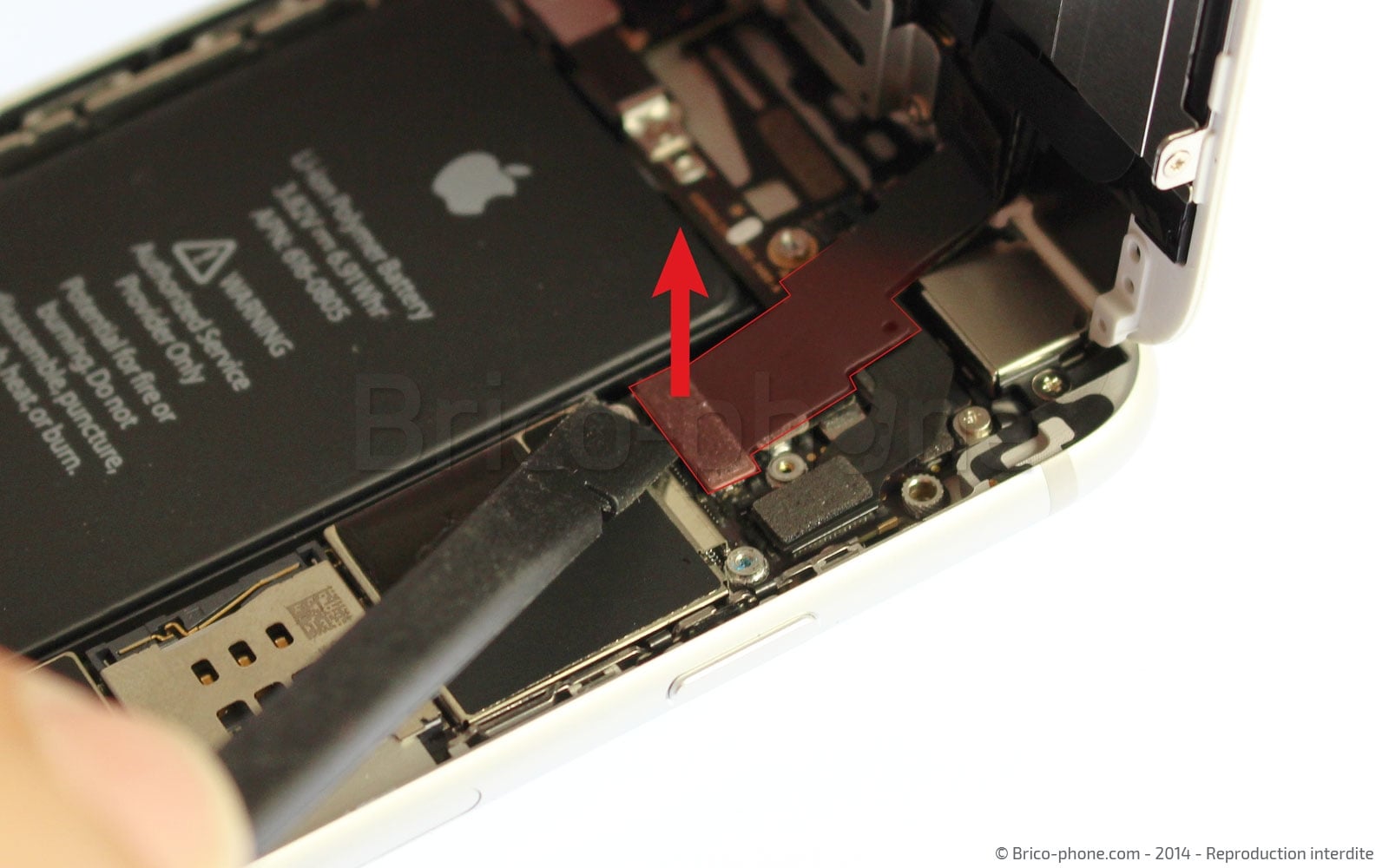 Changement de nappe bouton Home sur iPhone 6 photo 1