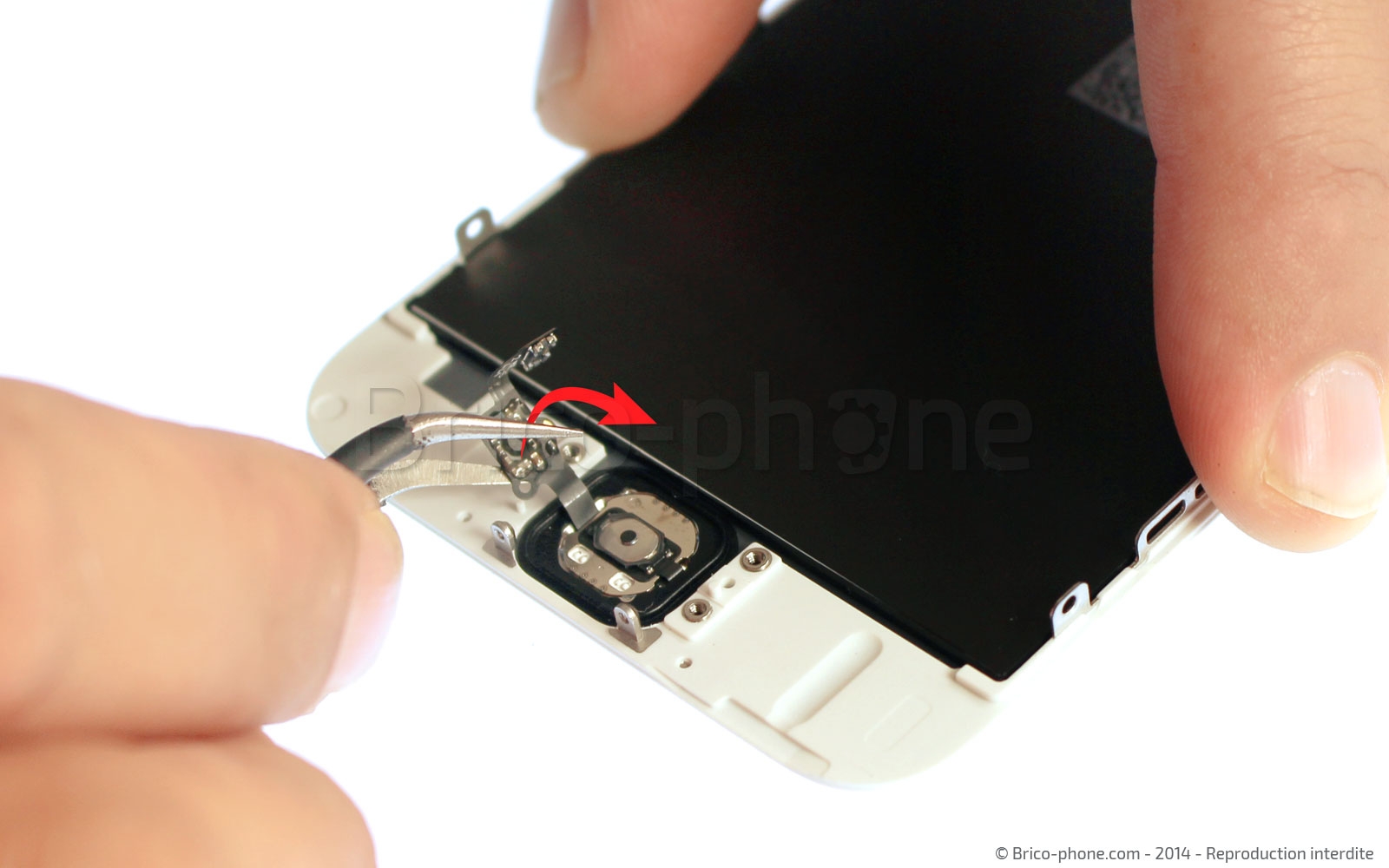 Changement de nappe bouton Home sur iPhone 6 photo 2