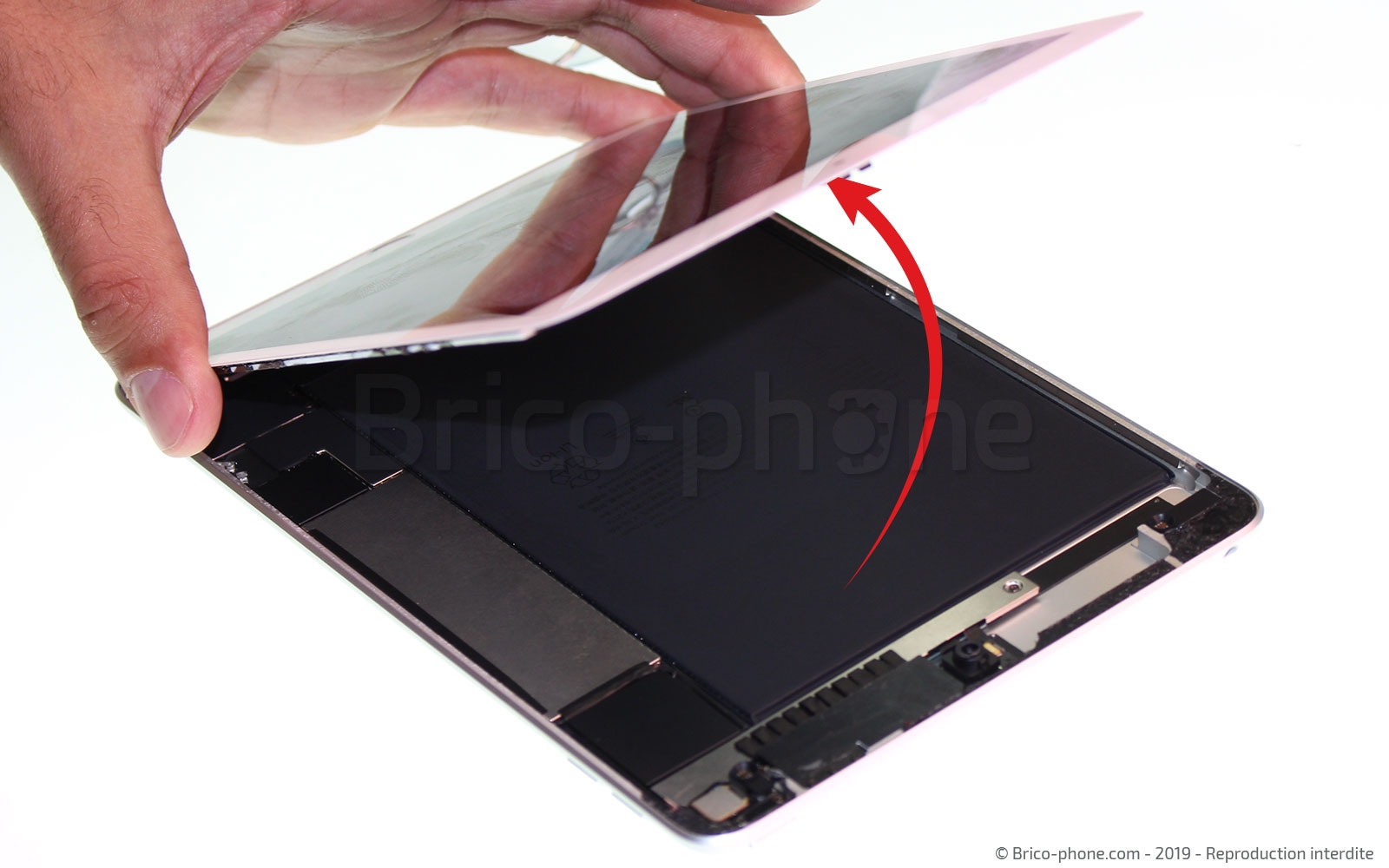 Changement de batterie sur iPad Mini 5 photo 2