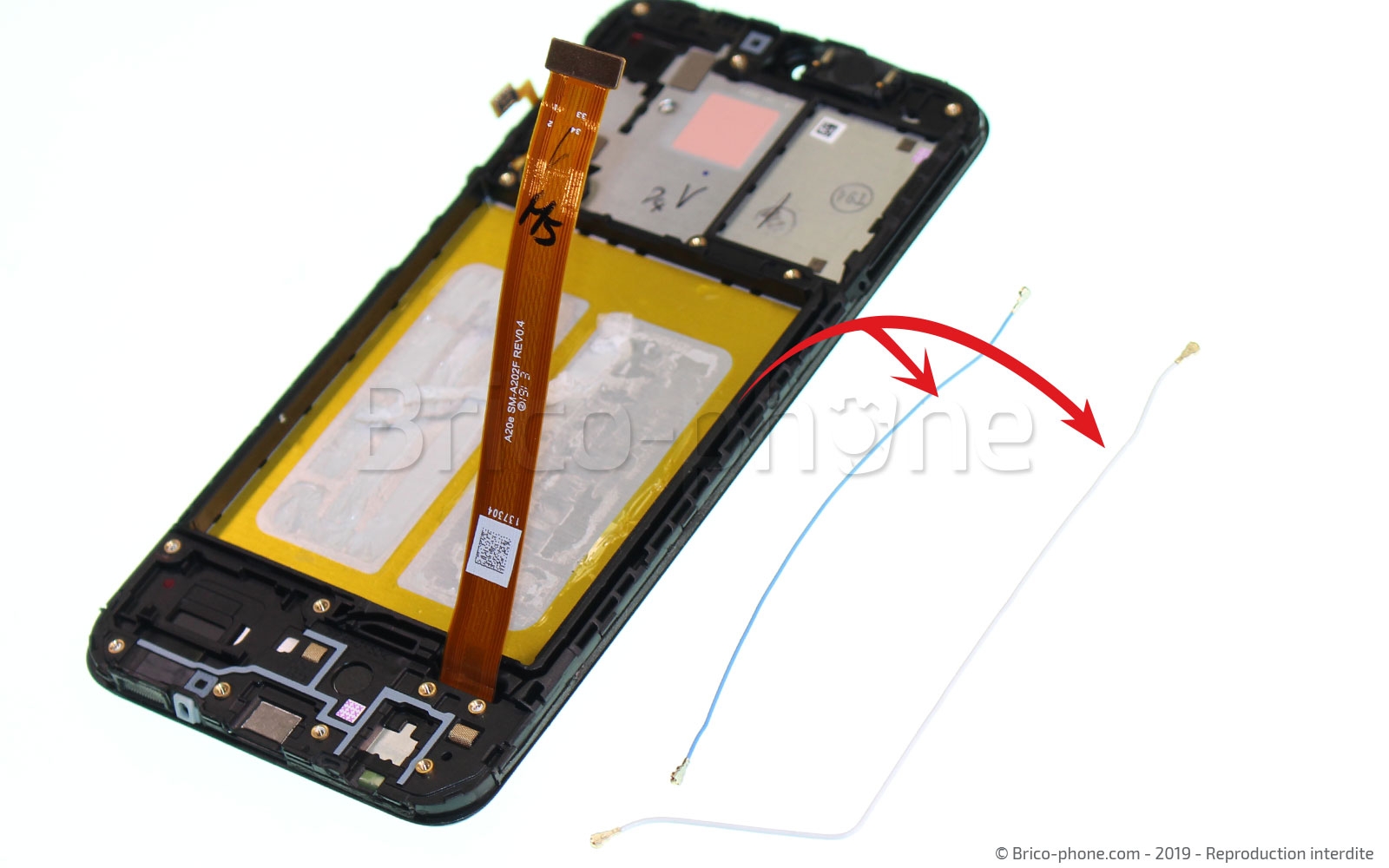 Démontage complet sur Galaxy A20e photo 3