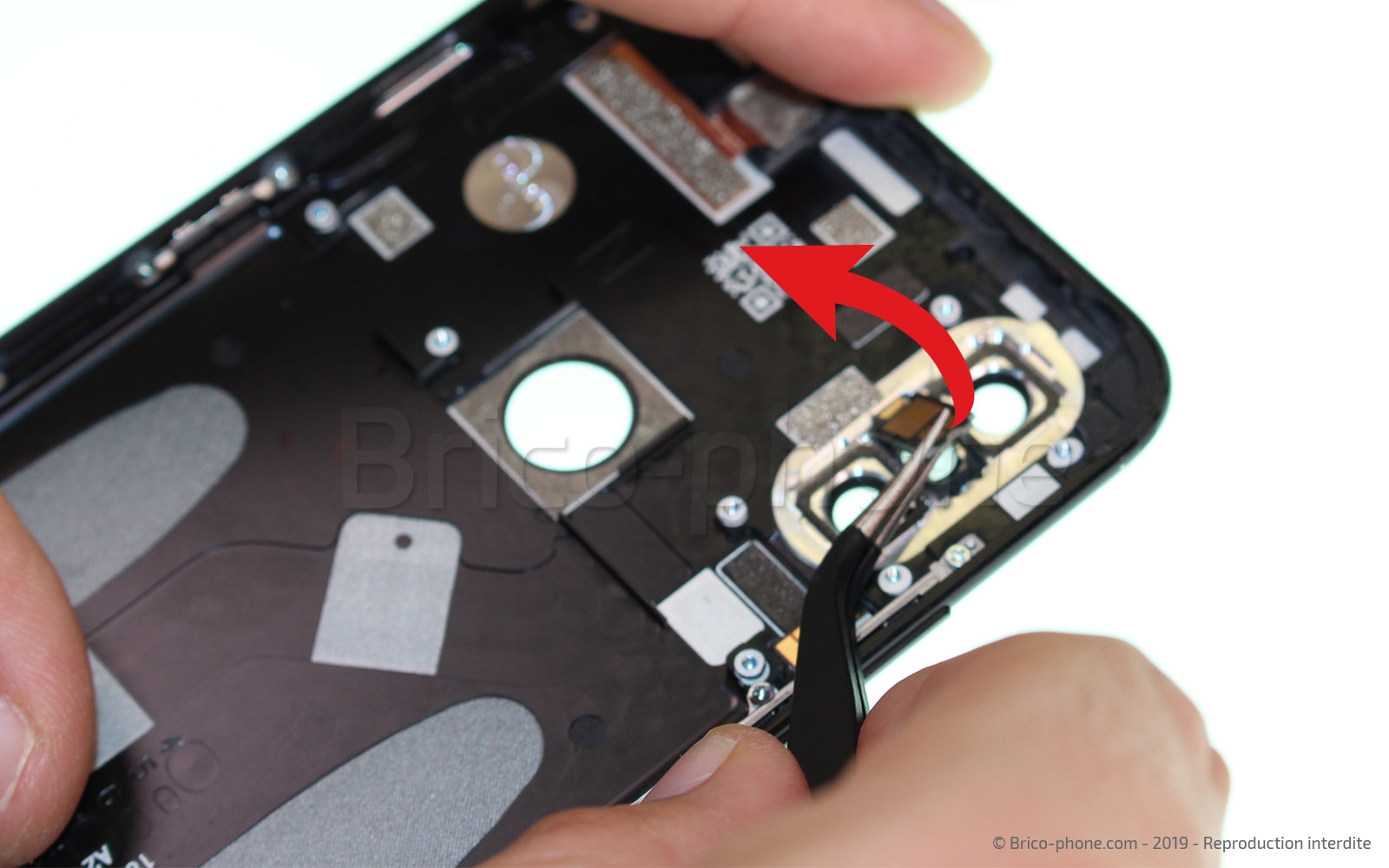 Démontage complet sur Mi A2 photo 2