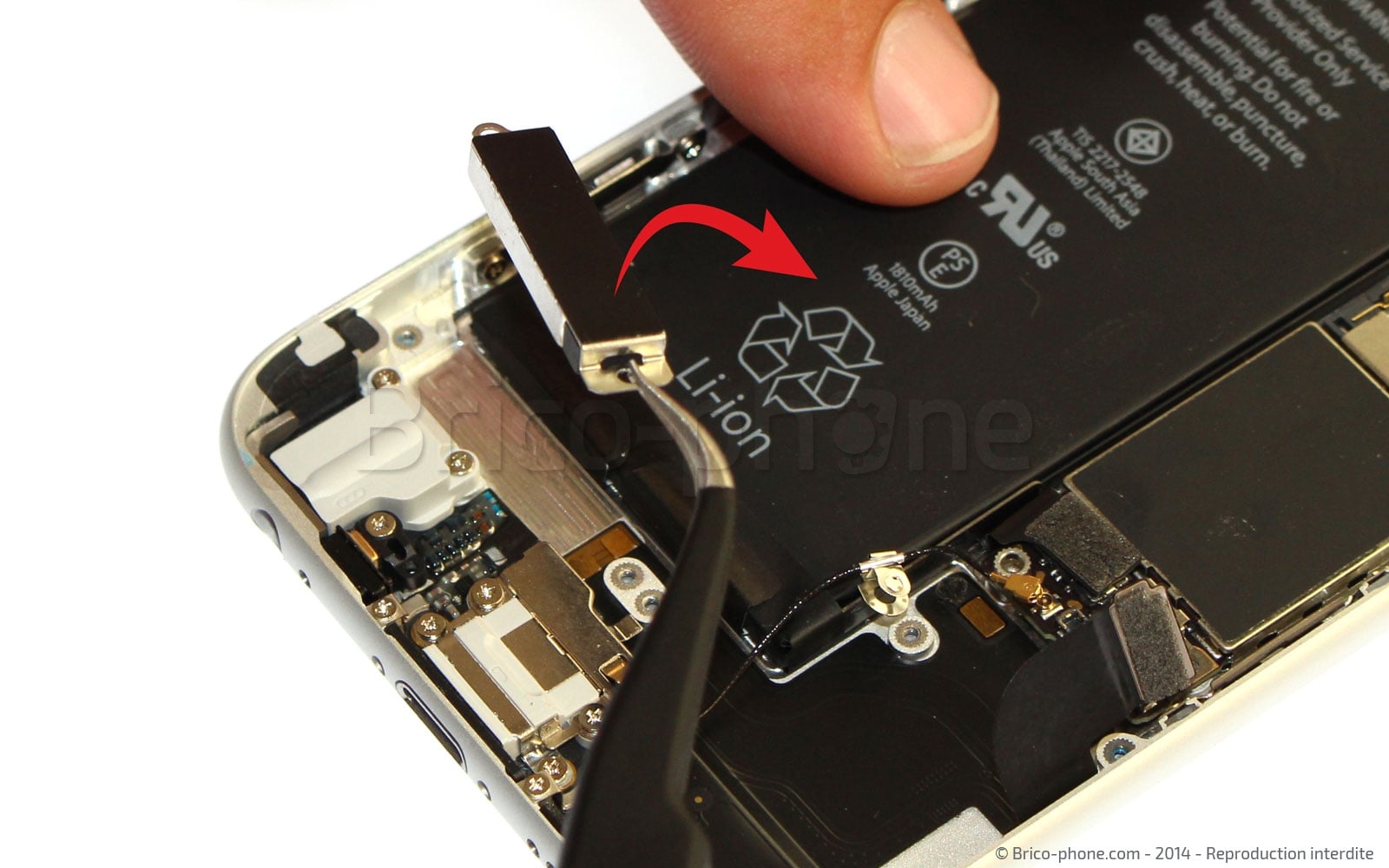 Changement du vibreur sur iPhone 6 photo 2