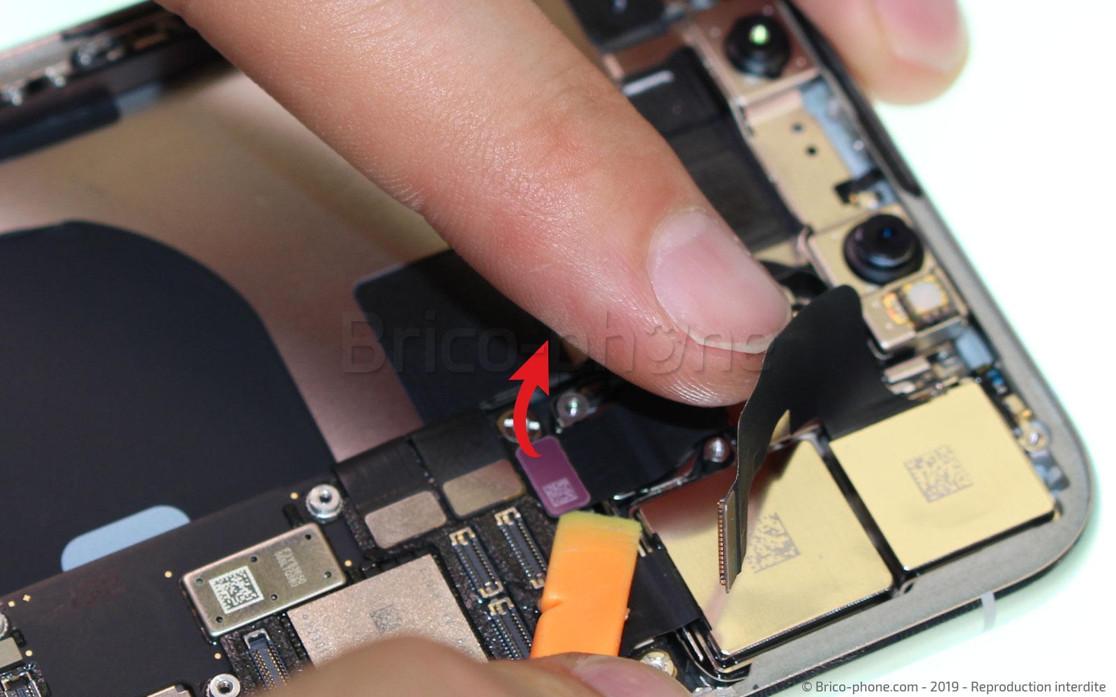 Démontage complet  sur iPhone 11 Pro Max photo 2