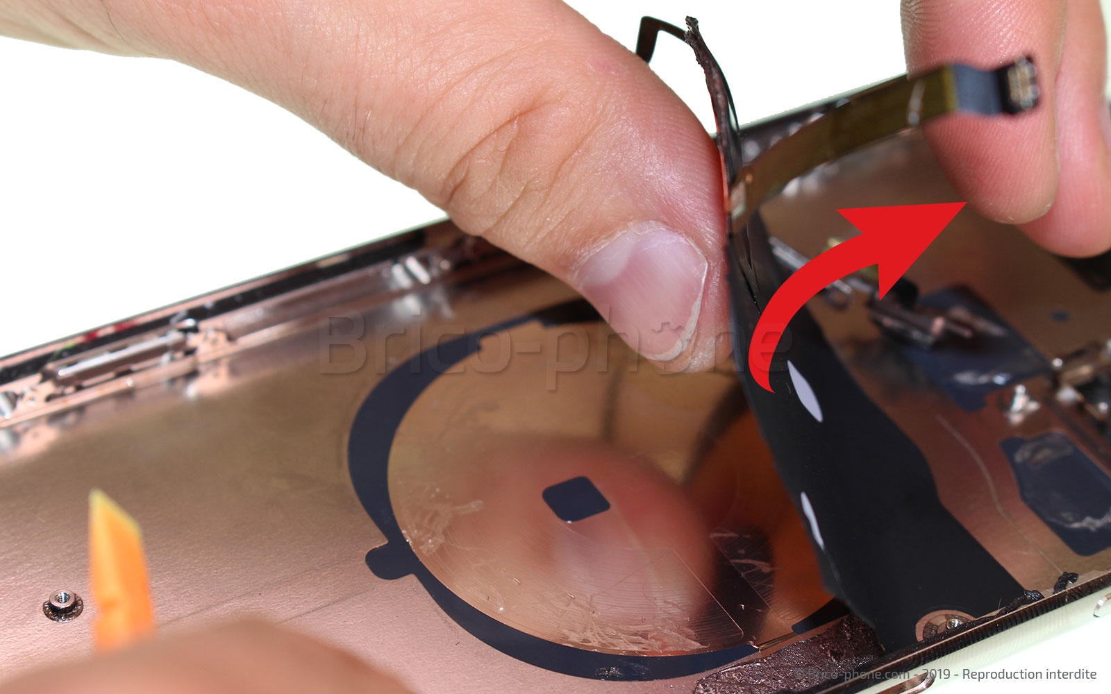 Démontage complet  sur iPhone 11 Pro Max photo 3