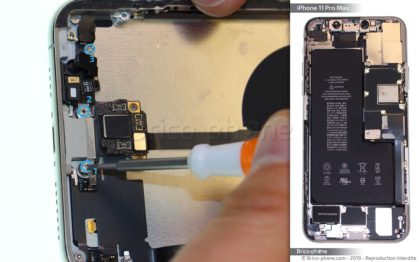 Démontage complet  sur iPhone 11 Pro Max photo 2