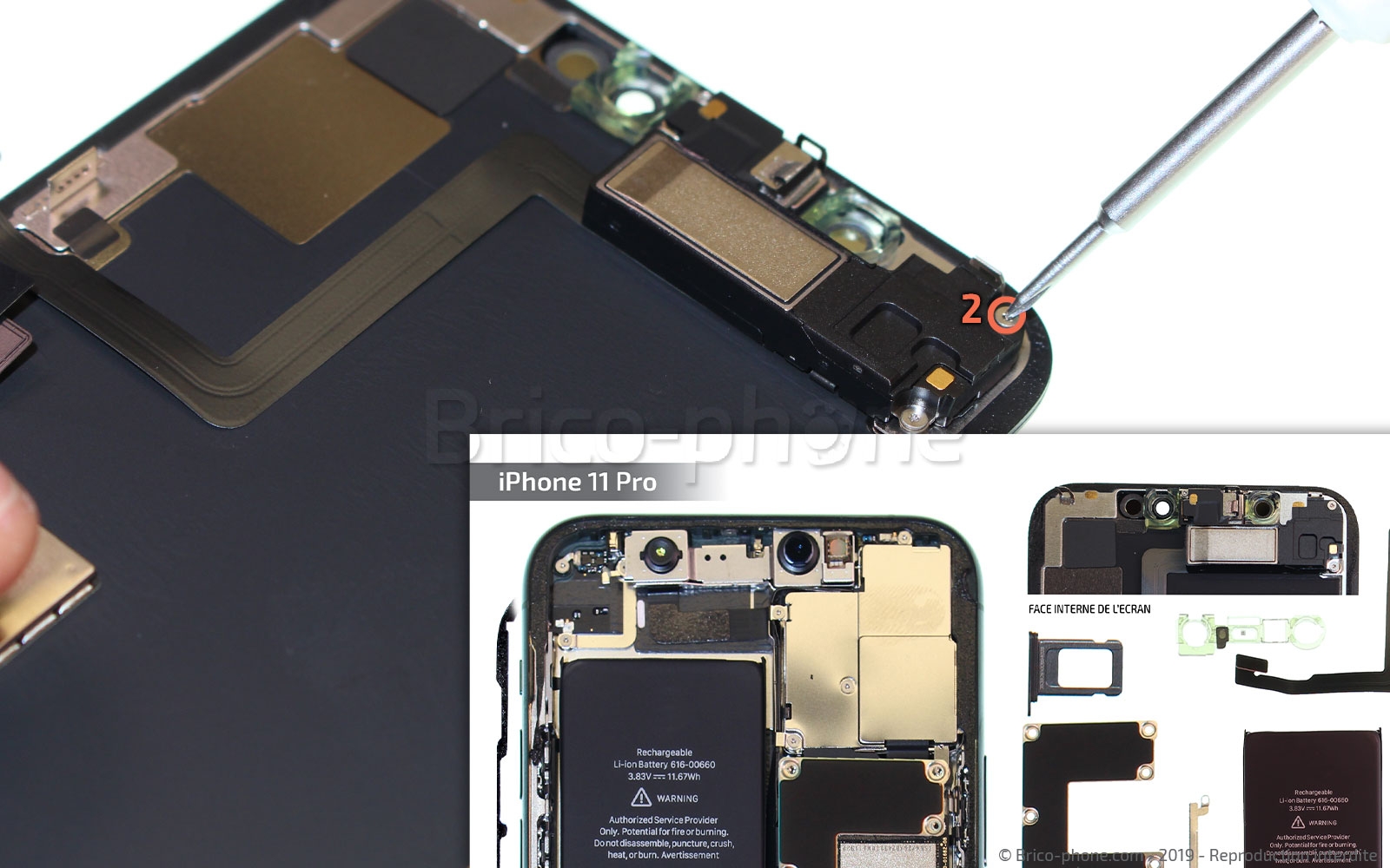 Démontage complet sur iPhone 11 Pro photo 2