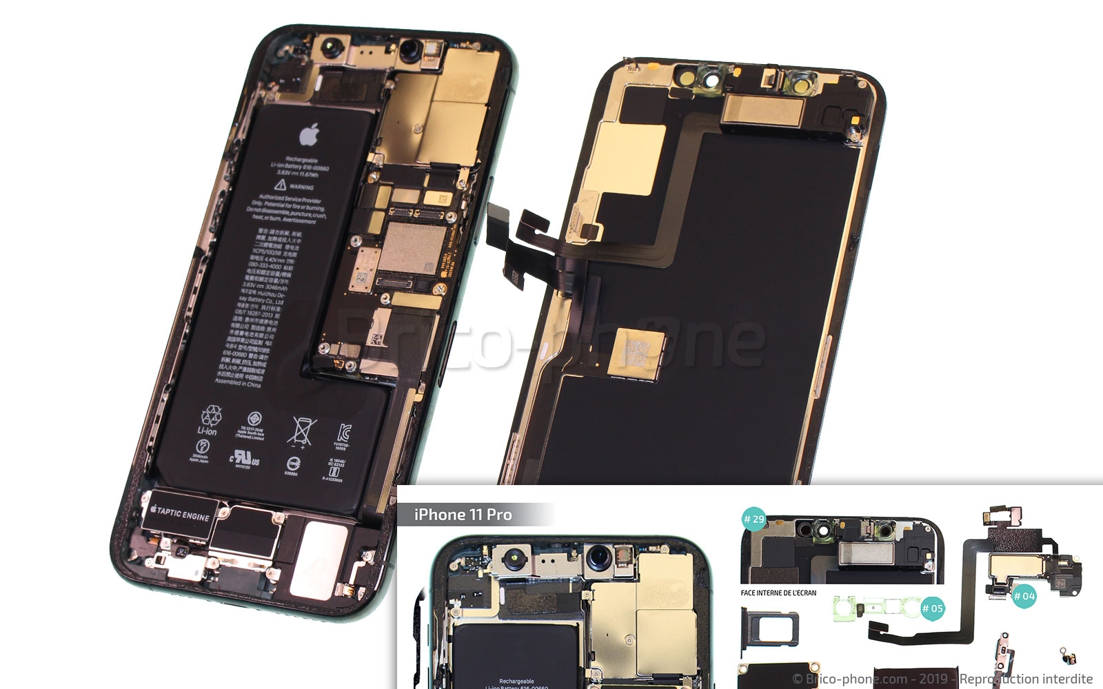 Démontage complet sur iPhone 11 Pro photo 4