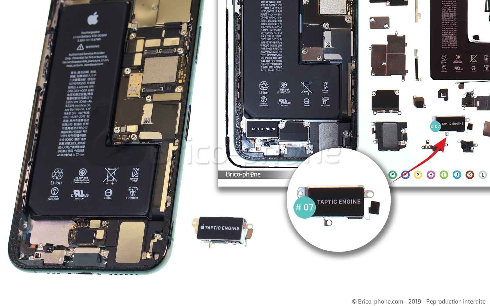 Démontage complet sur iPhone 11 Pro photo 4