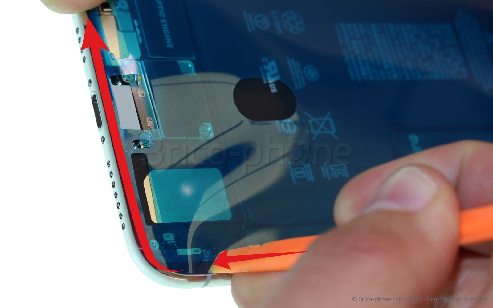 Changement du haut-parleur externe sur iPhone 11 Pro Max photo 3