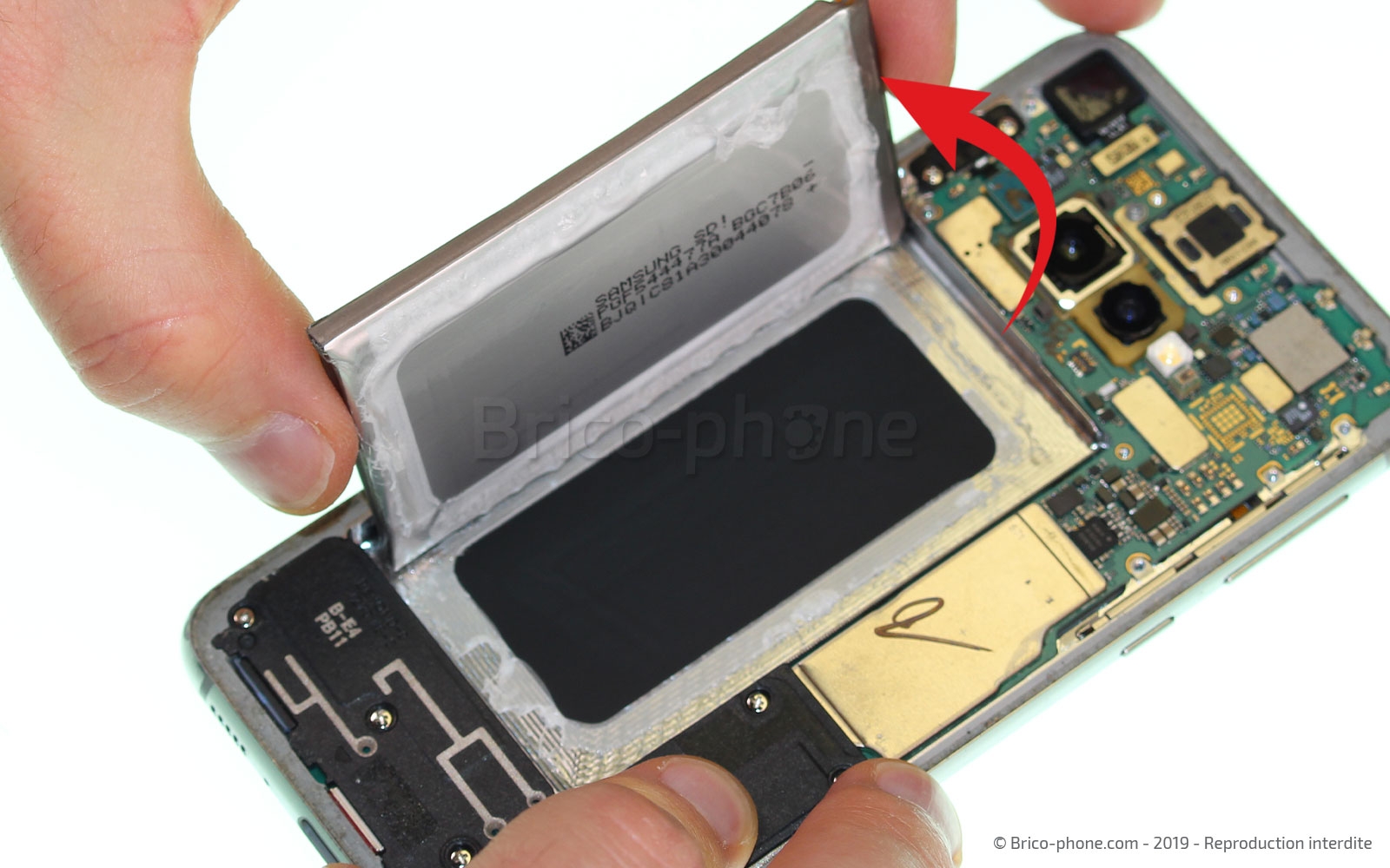 Changement du bloc écran sur châssis sur Galaxy S10e photo 2