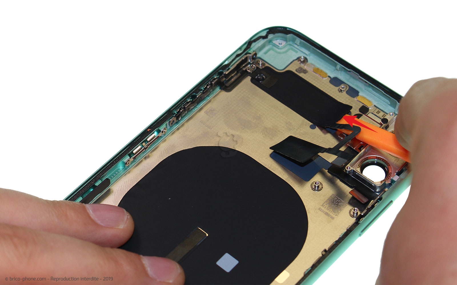 Démontage complet  sur iPhone 11 photo 2
