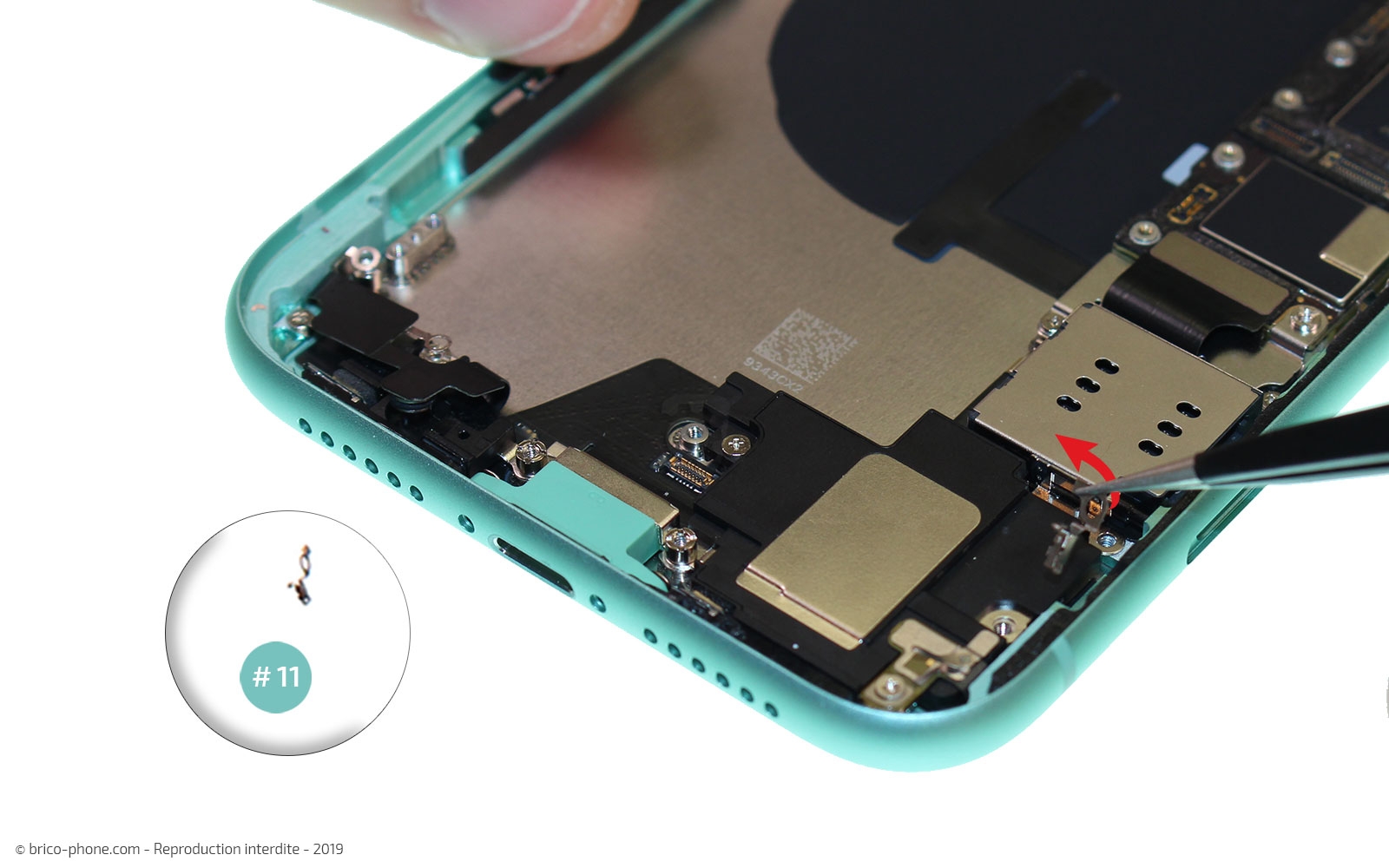 Démontage complet  sur iPhone 11 photo 2