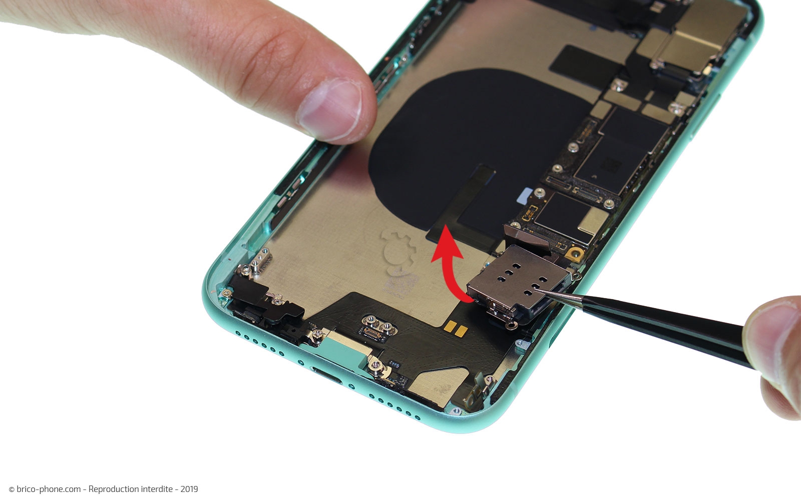 Démontage complet  sur iPhone 11 photo 2
