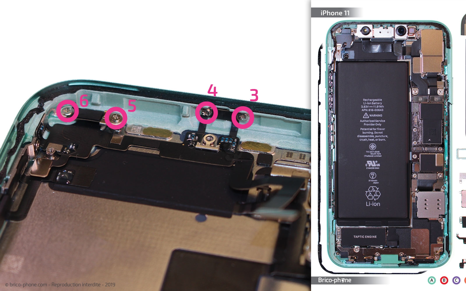 Démontage complet  sur iPhone 11 photo 1