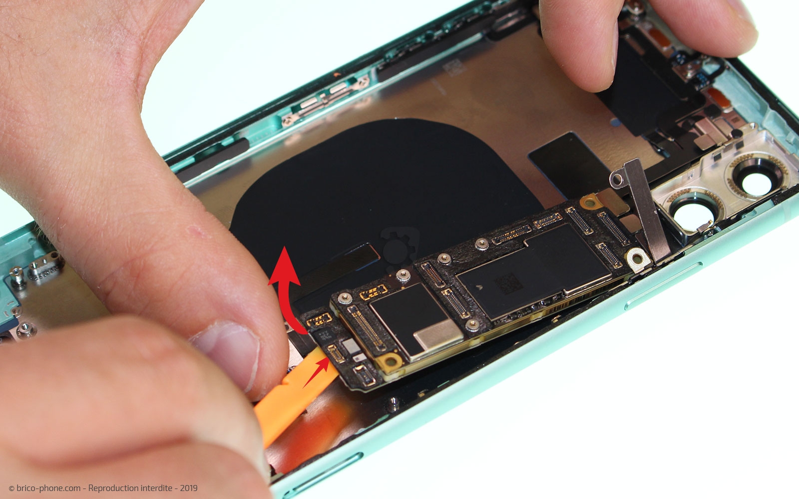 Démontage complet  sur iPhone 11 photo 1