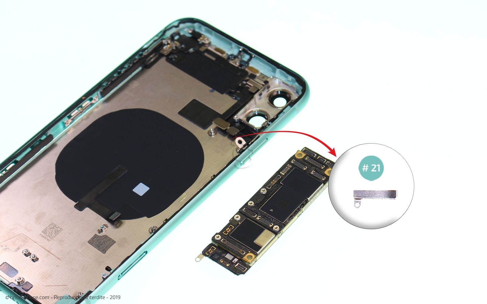 Démontage complet  sur iPhone 11 photo 3