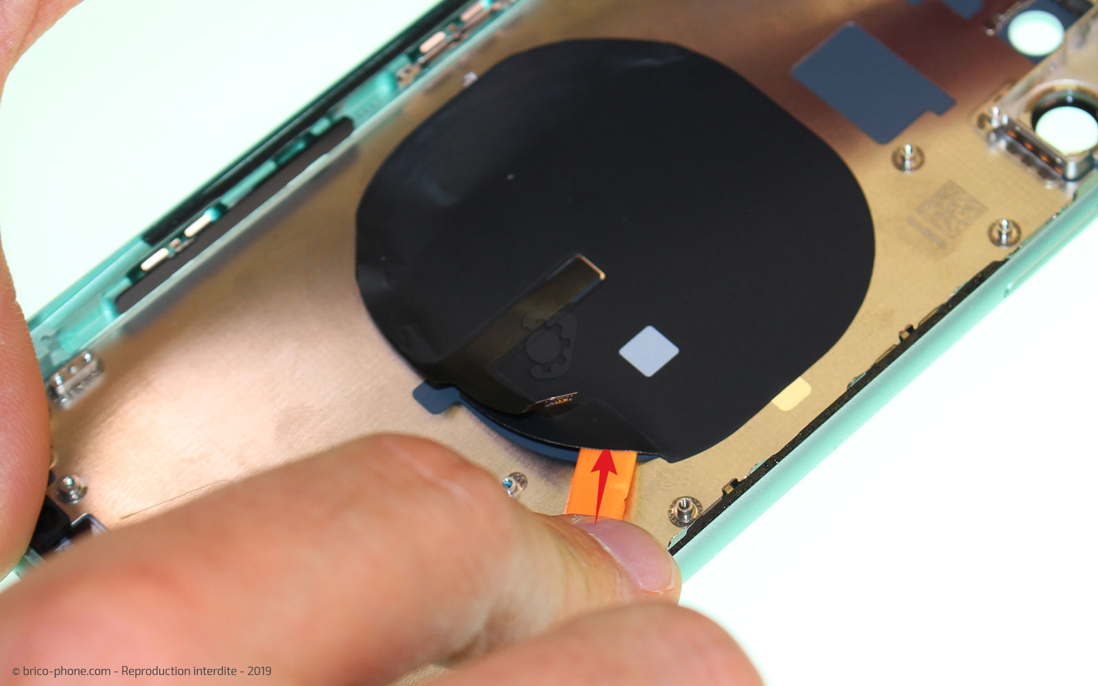 Démontage complet  sur iPhone 11 photo 3