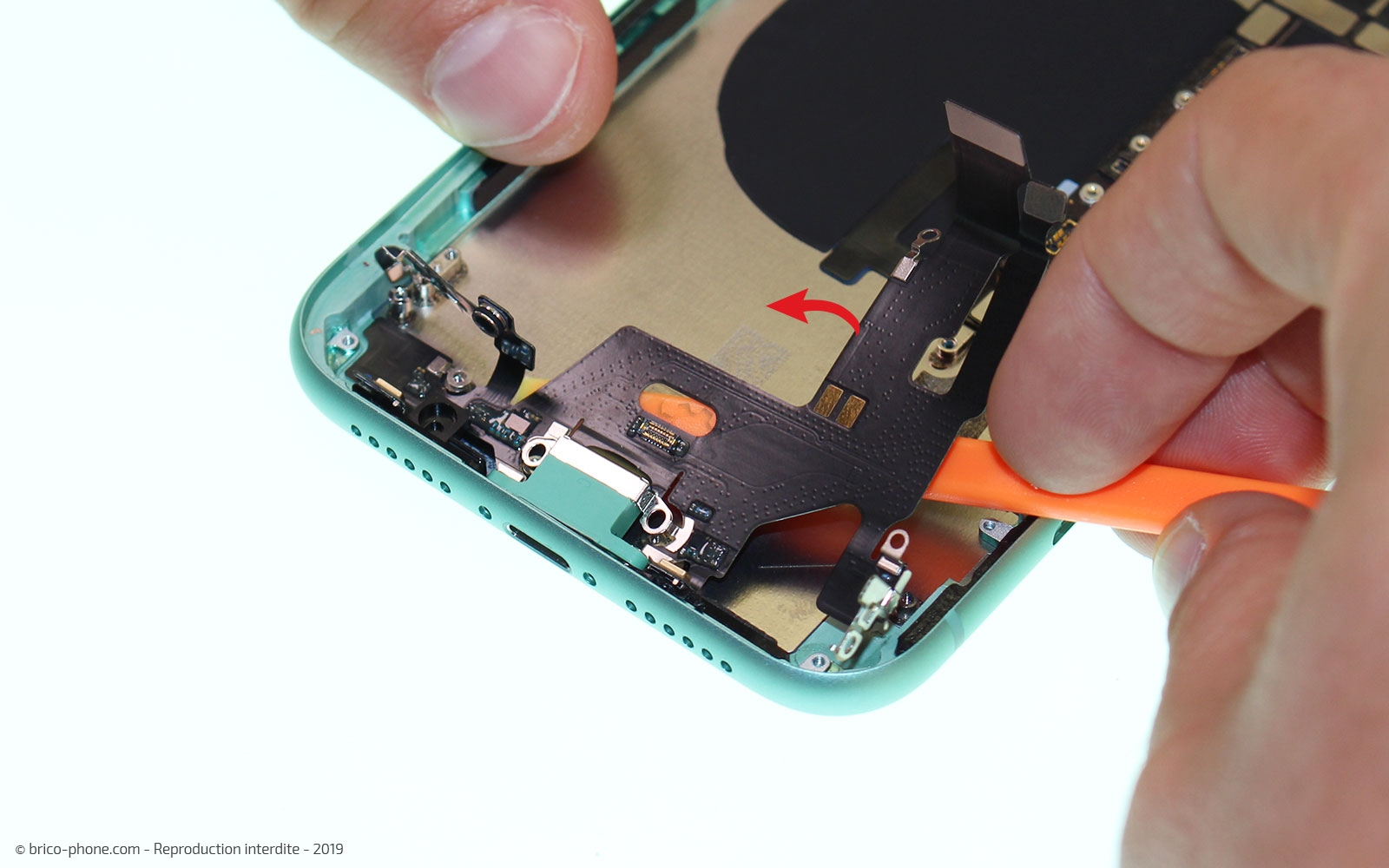 Démontage complet  sur iPhone 11 photo 3