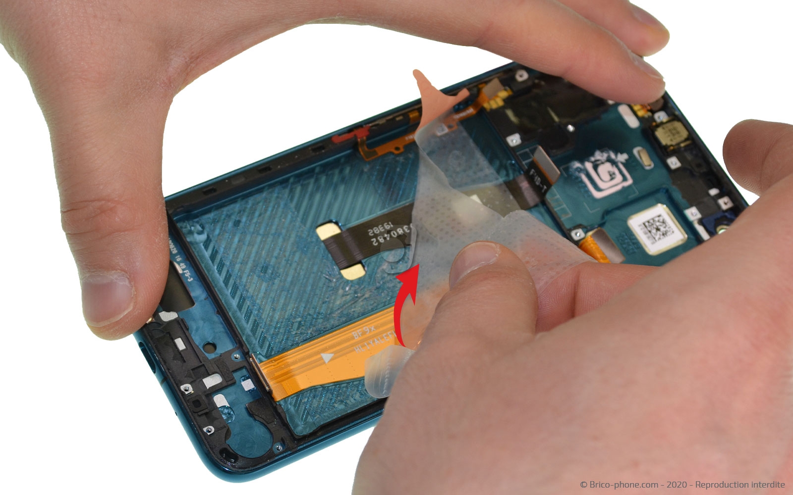 Démontage complet sur Honor 20 Pro photo 2