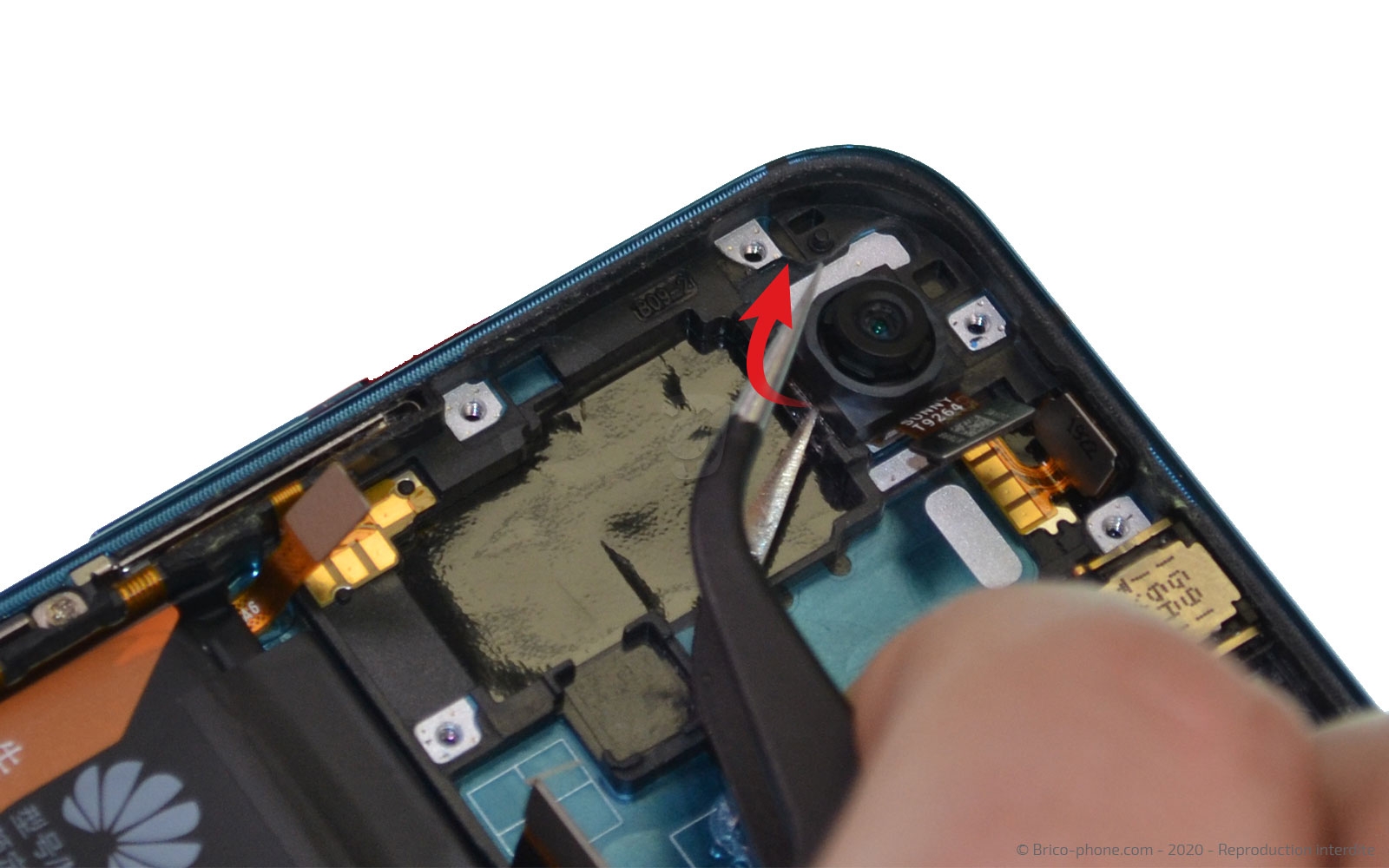Démontage complet sur Honor 20 Pro photo 3