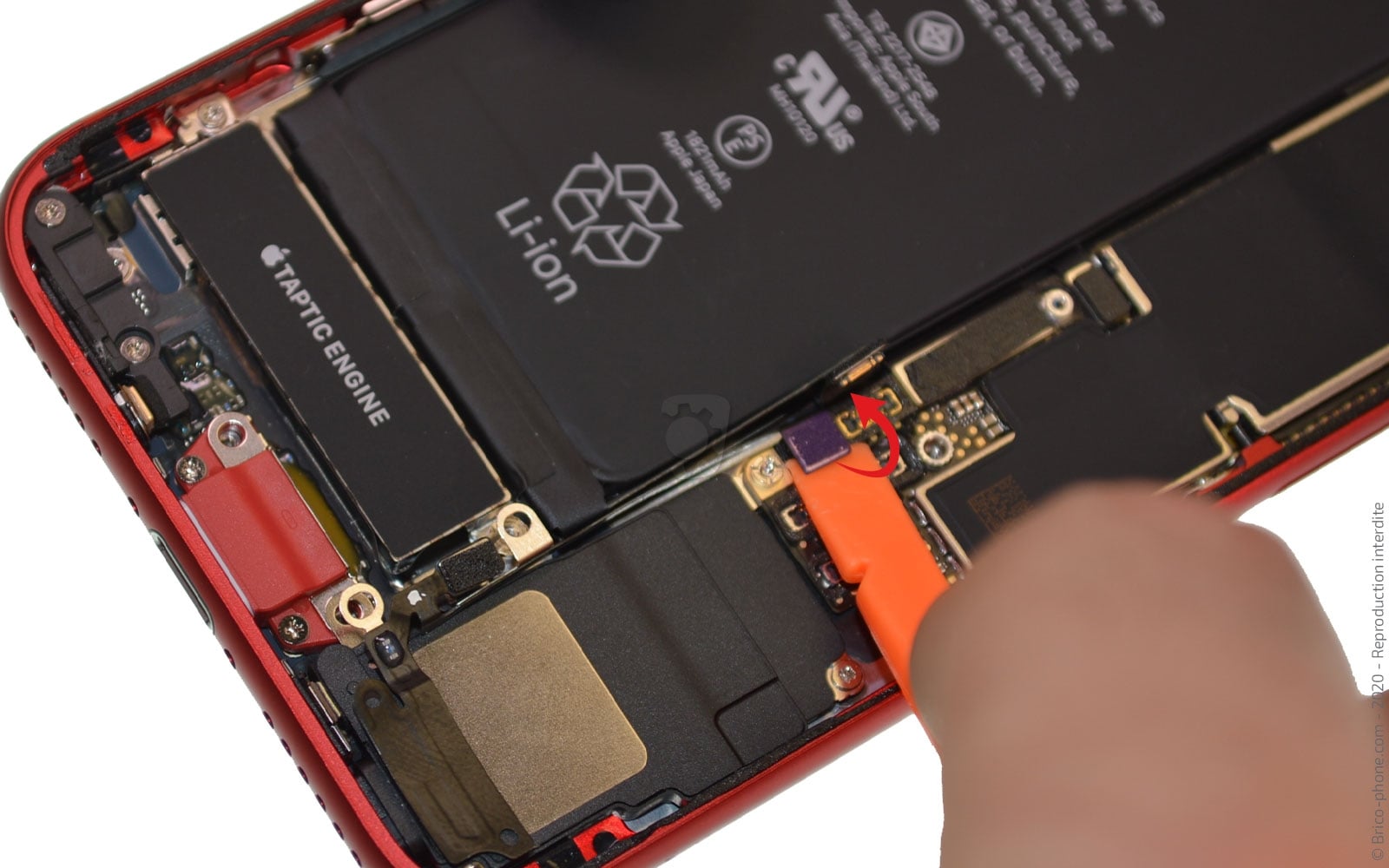 Démontage complet sur iPhone SE 2020 photo 3