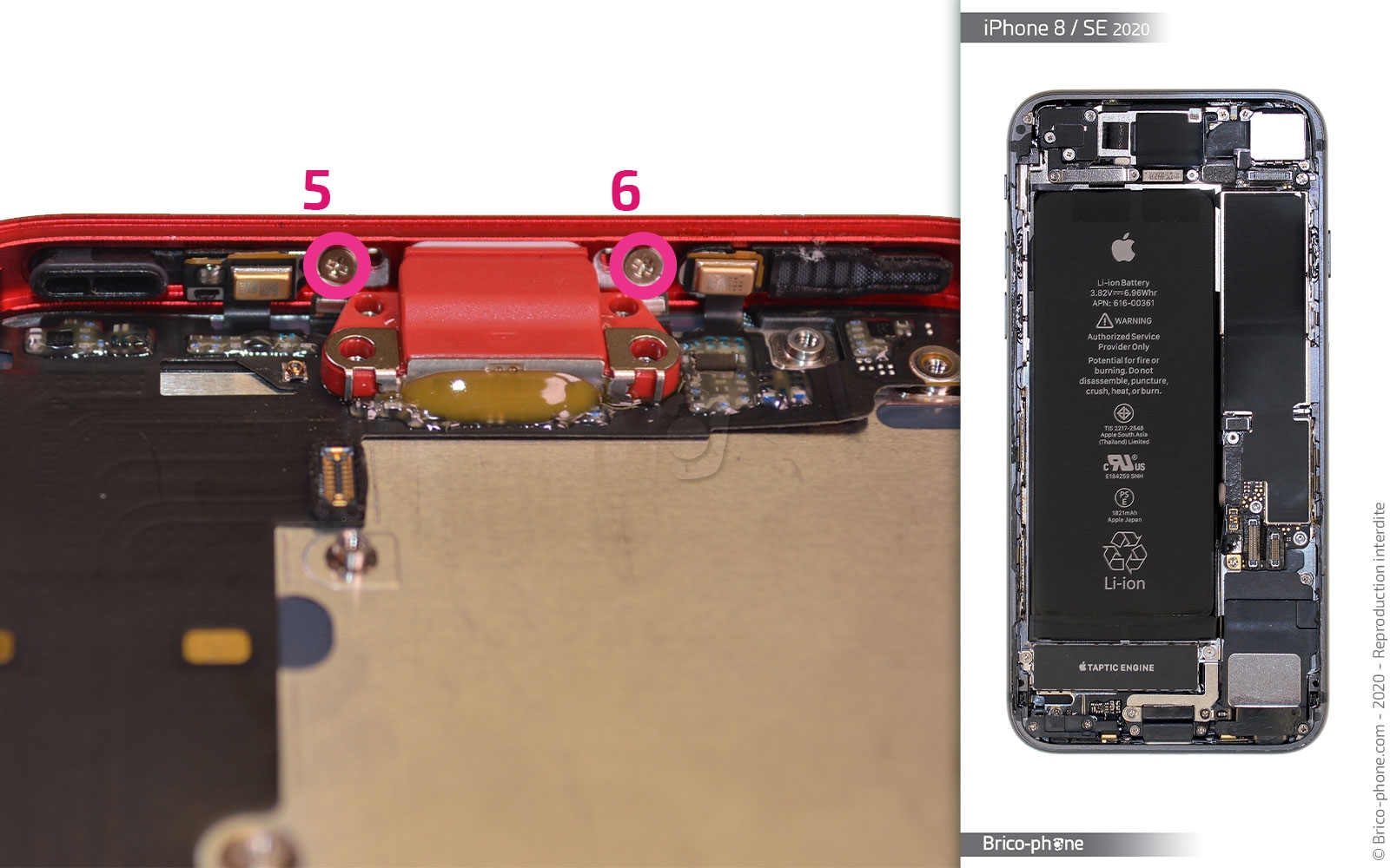 Démontage complet sur iPhone SE 2020 photo 2