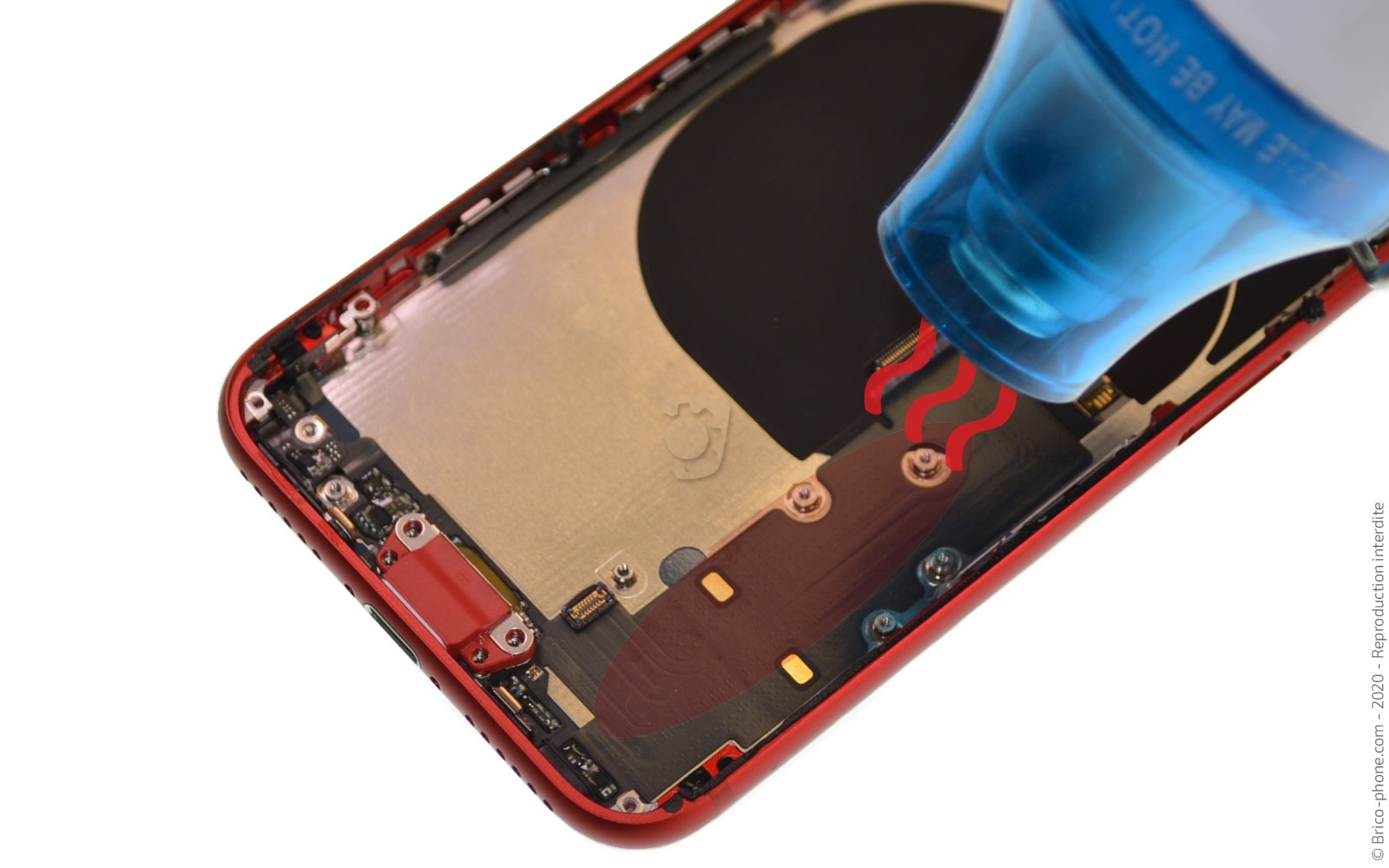 Démontage complet sur iPhone SE 2020 photo 3