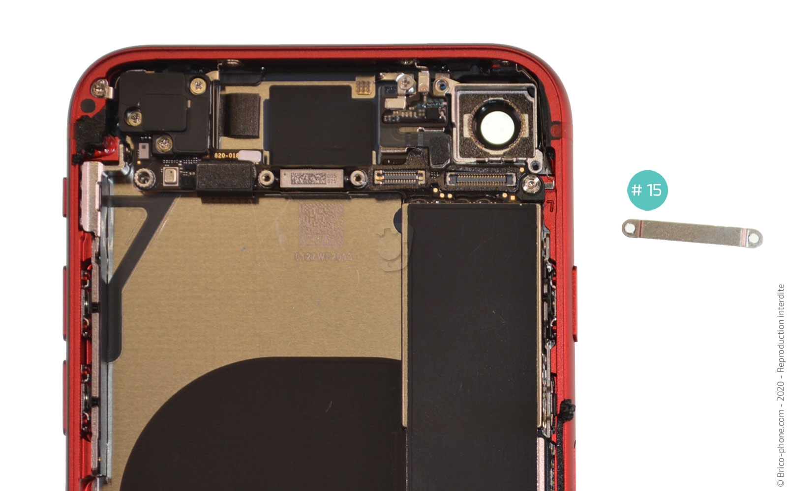 Démontage complet sur iPhone SE 2020 photo 3