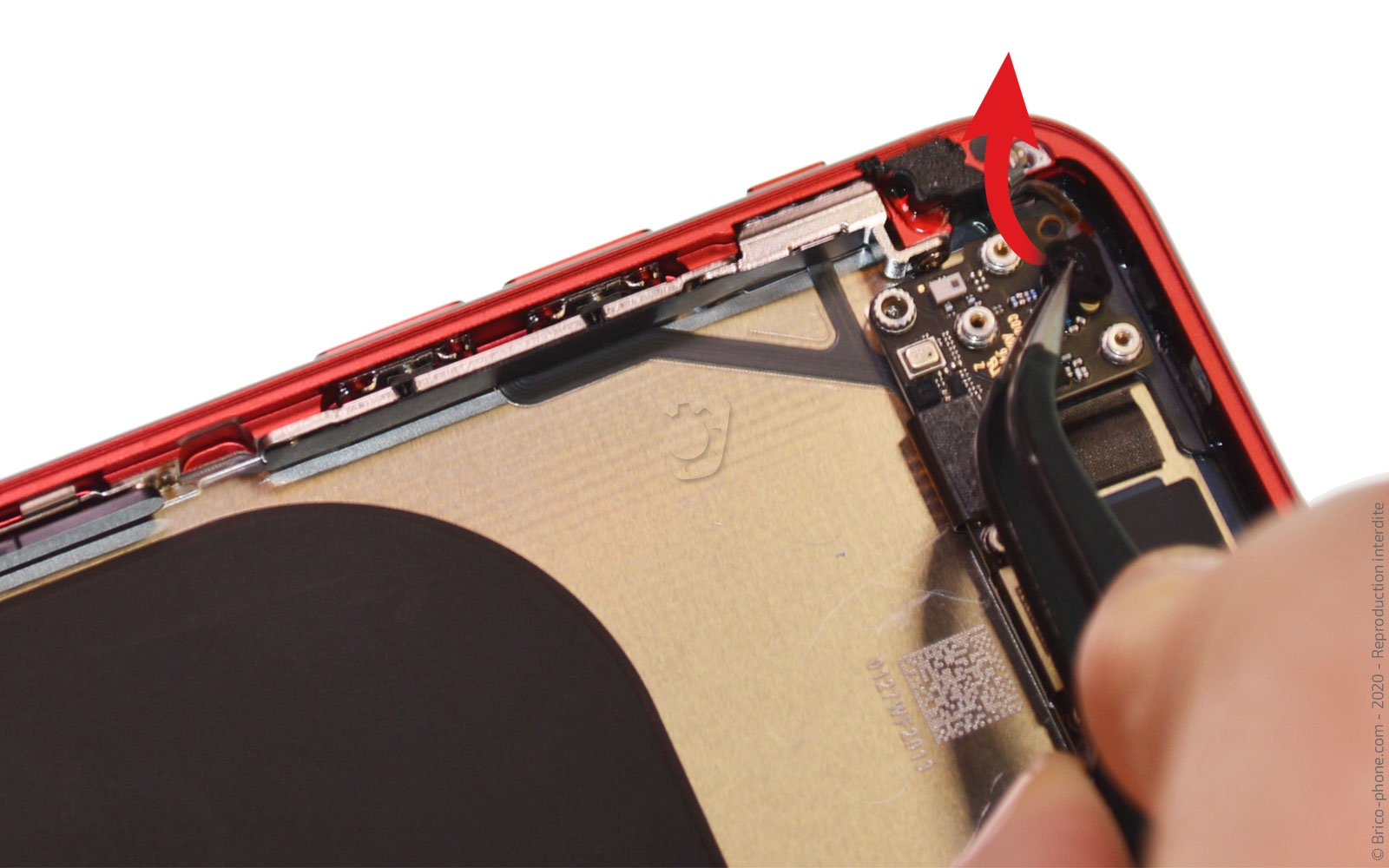 Démontage complet sur iPhone SE 2020 photo 2